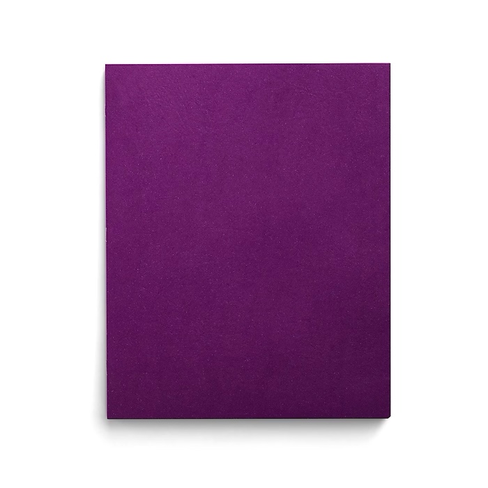Pack of 2 Staples Smooth 2-Pocket Paper Folder, Purple, 25/Box (27536-CC)