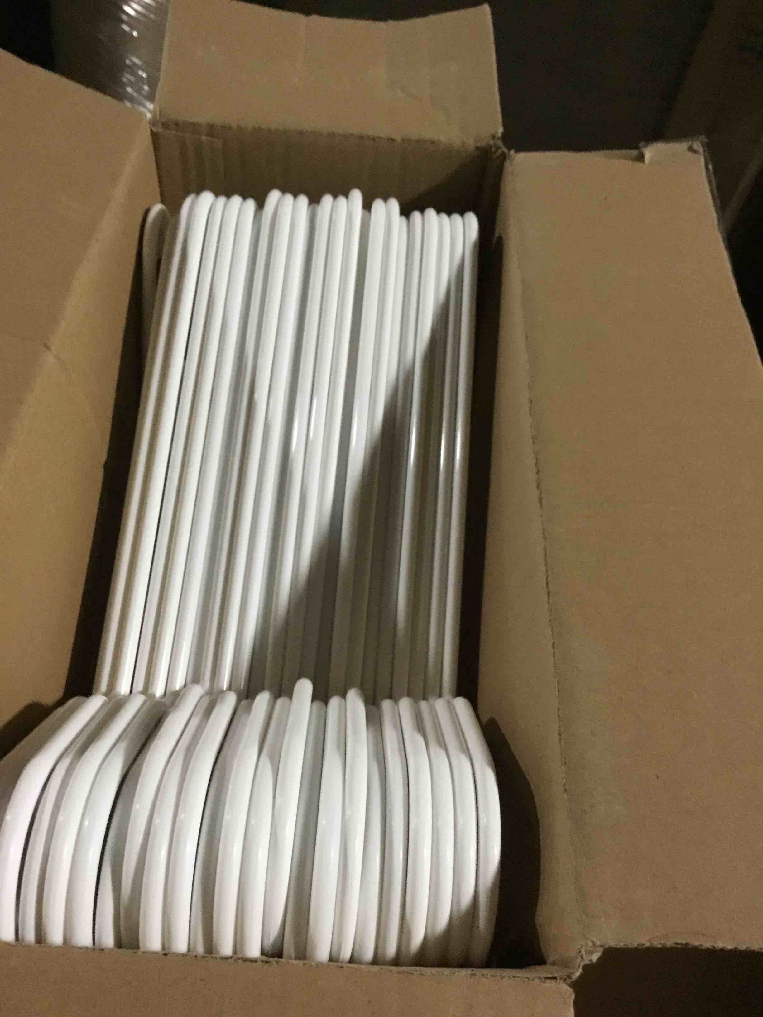 Condition photo showing Good Condition for HOUSE DAY White Plastic Hangers 50 Pack, Plastic Clothes Hangers with Built-in Hooks, Durable and Strong Plastic Coat Hangers for Closet, Space Saving Clothing Hanger for Shirts, Coats, Skirt, Dress 50 Pack White
