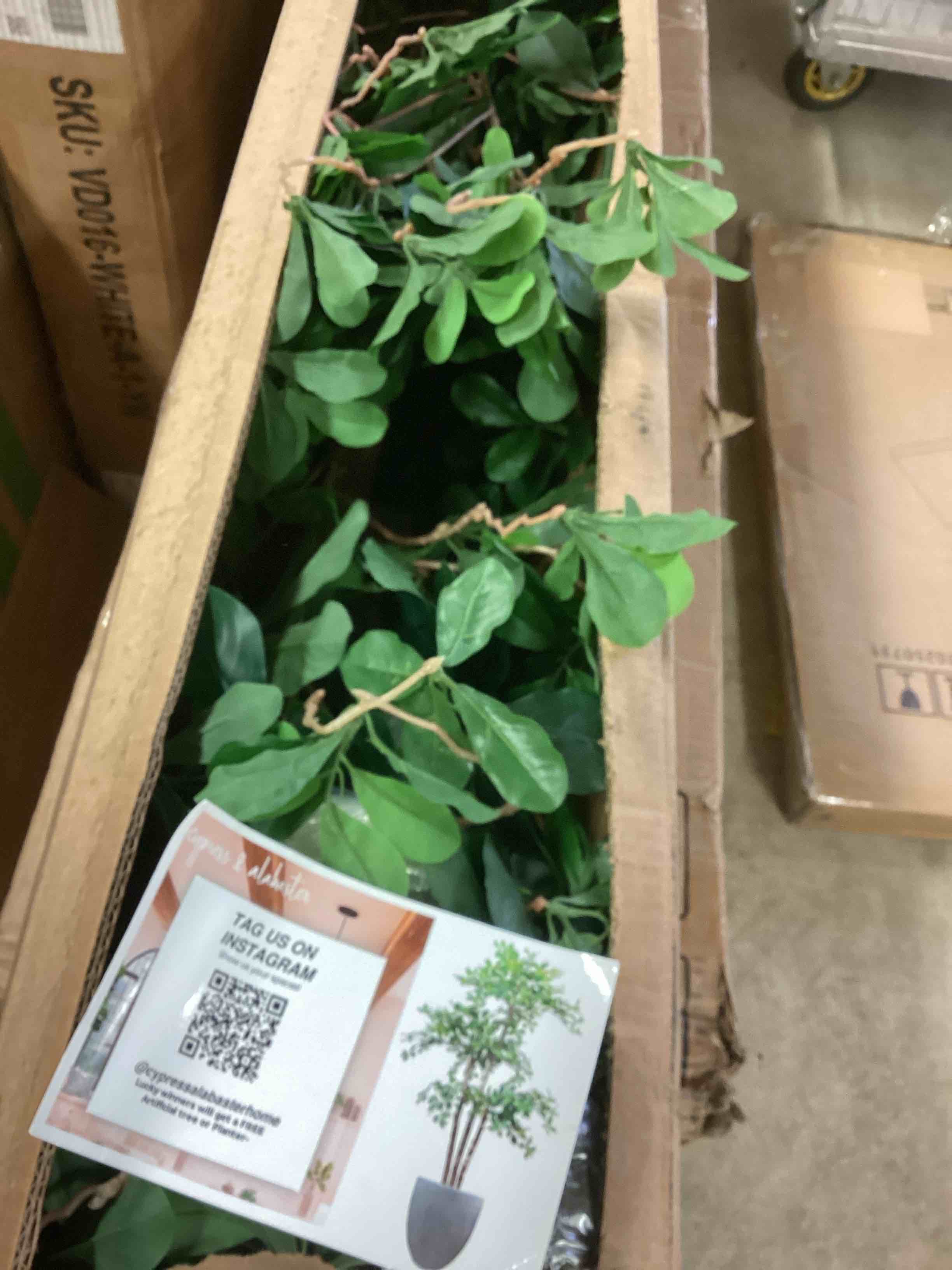 Condition photo showing Good Condition for cypress & alabaster 6' realistic artificial bamboo plant in home basics starter pot for home dcor or office