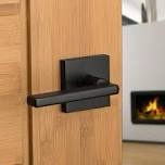 Moen door handle