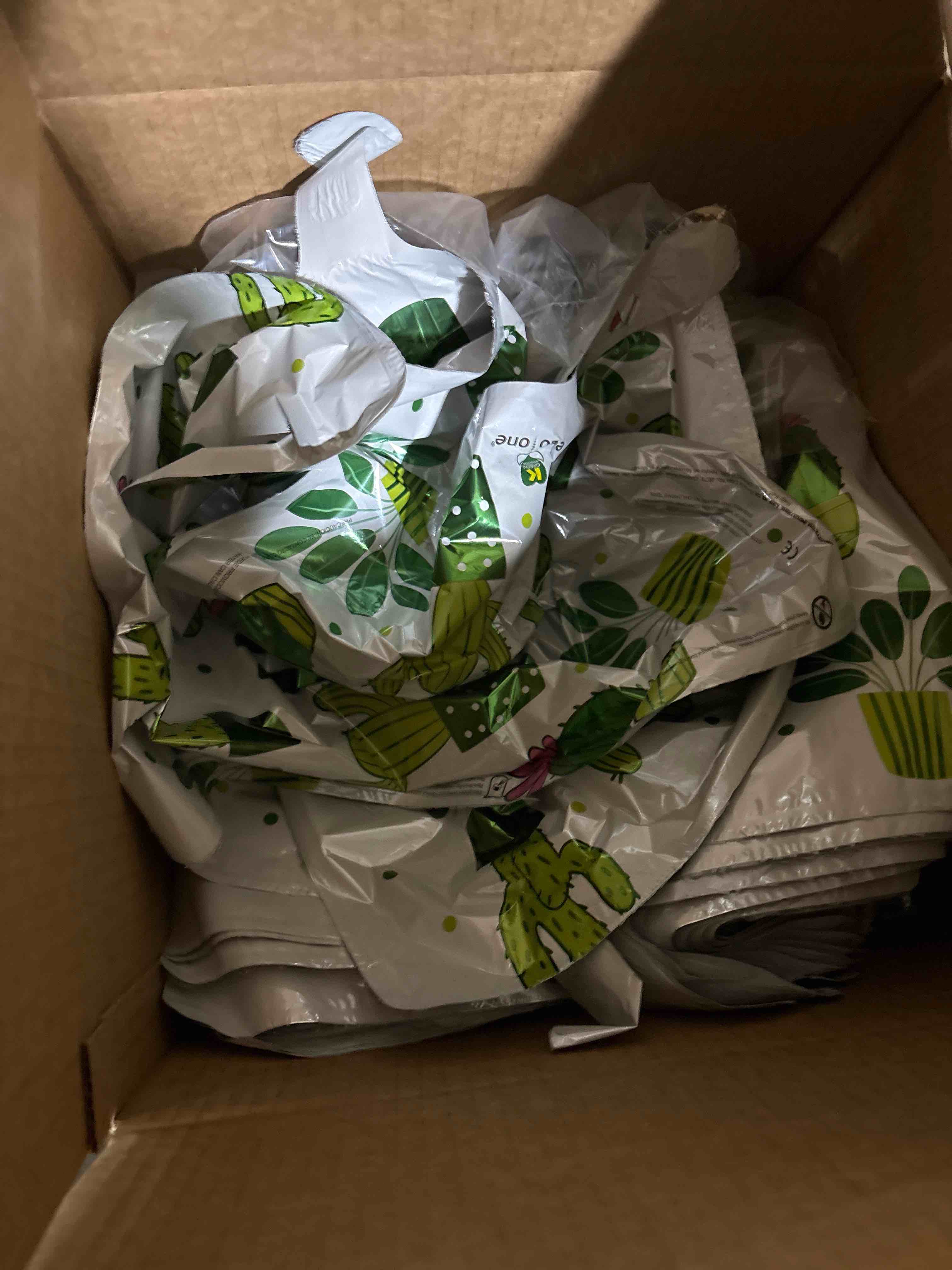 Condition photo showing Good Condition for box of 18" birthday cactus balloon