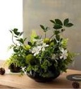 11.81'' Faux Fir Plant in Ceramic Planter