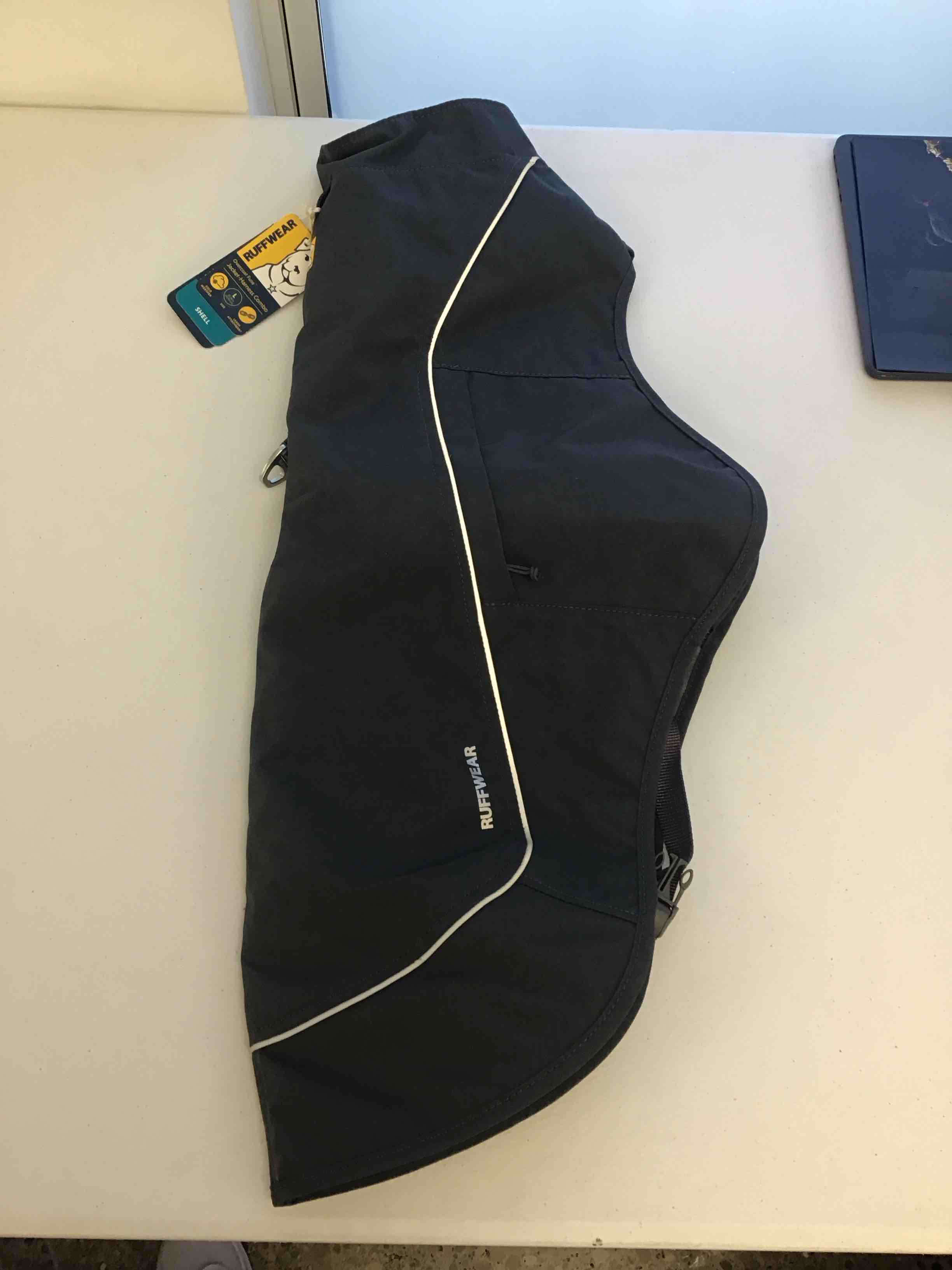 Furry Friend Finds & More!