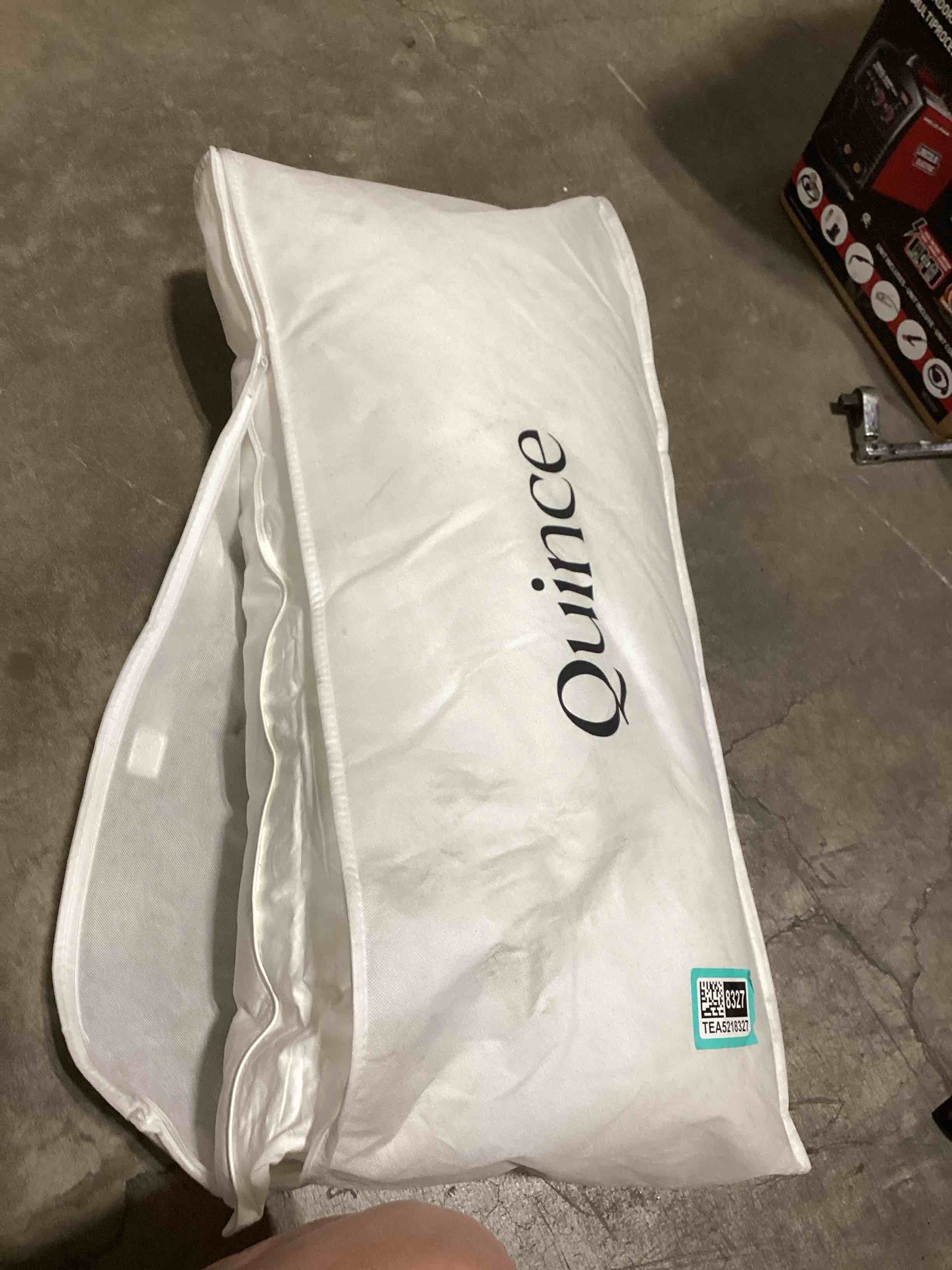 Condition photo showing As Is for pillow