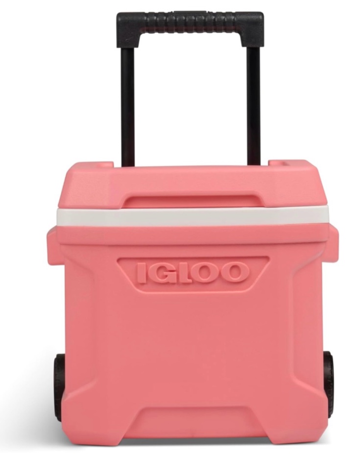 igloo profile 16 roller hard-sided cooler - mint green