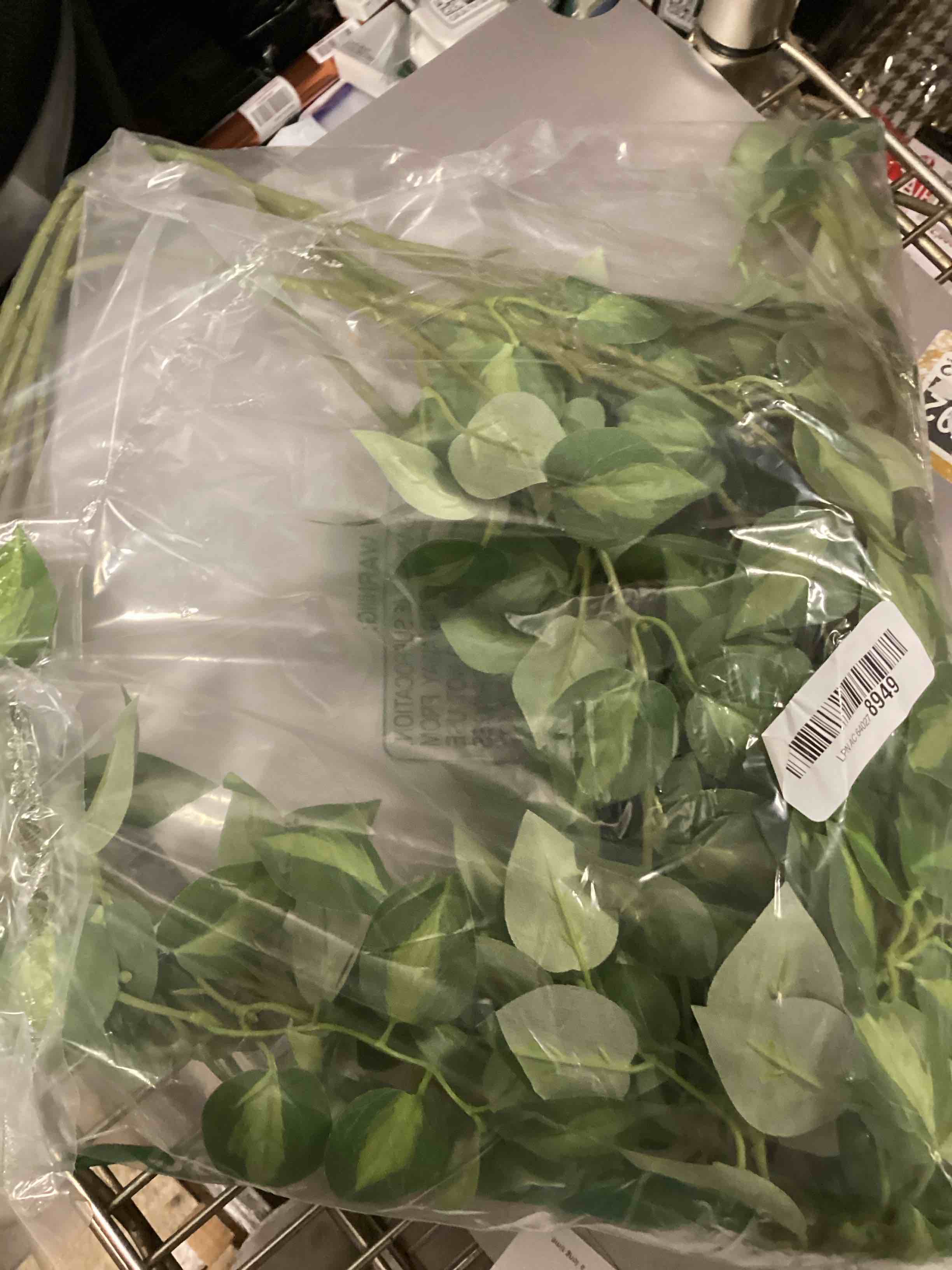 Green leaves for decoration 