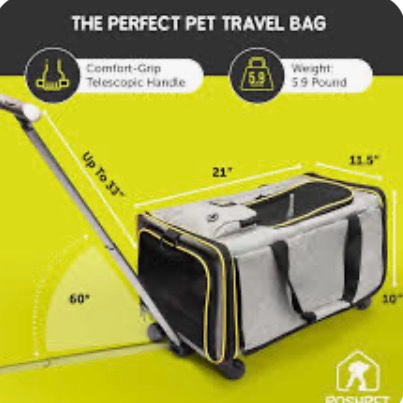 Pet Travel Carrier Bag