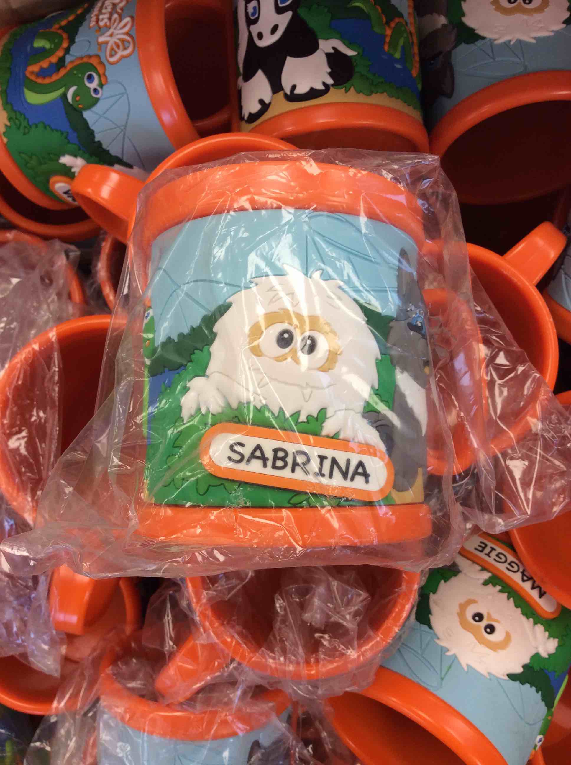 sea world busch gardens orange mugs with names 240pcs
