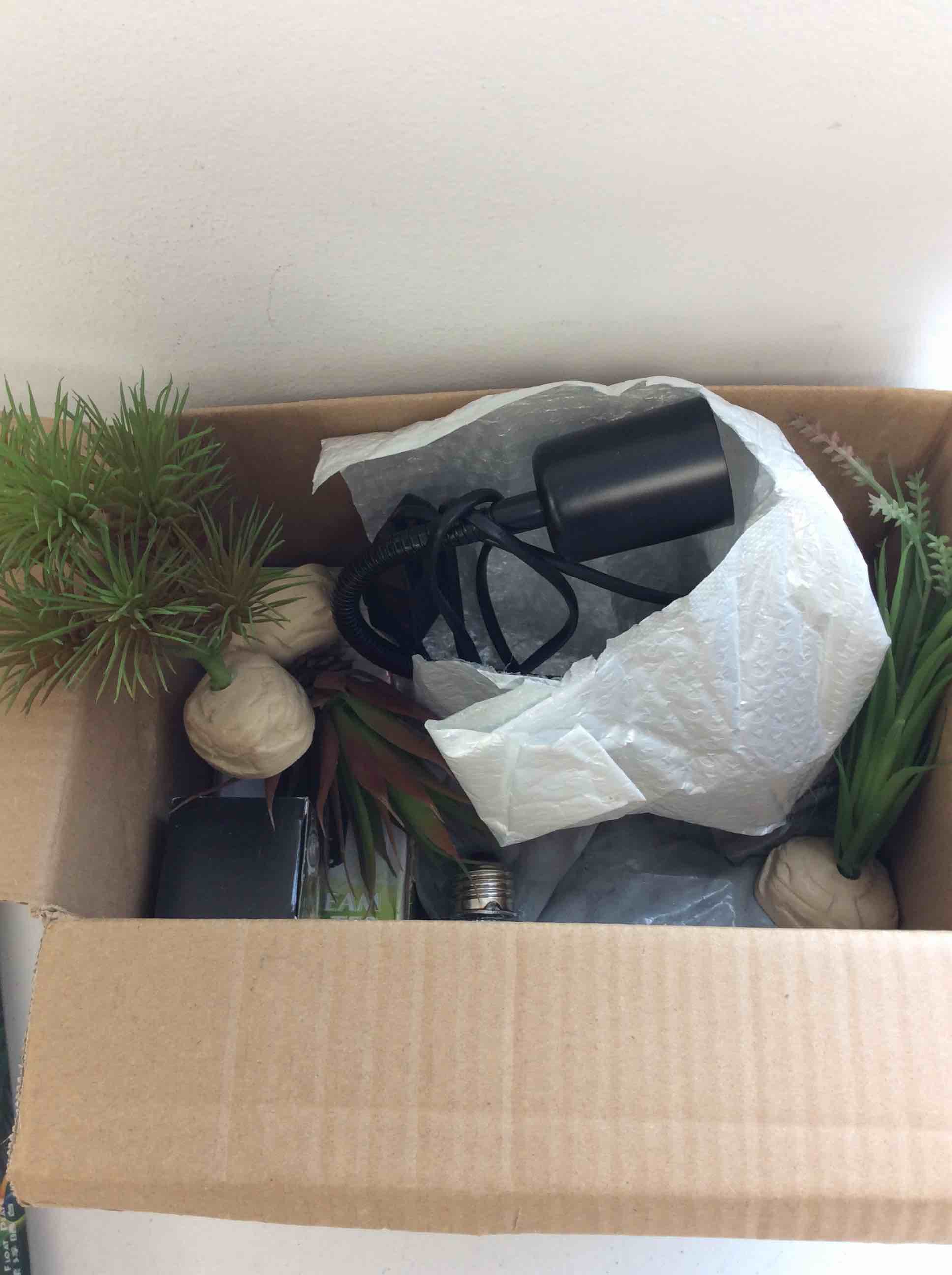 Condition photo showing As Is for dangerous jungle turtle tank with decorations