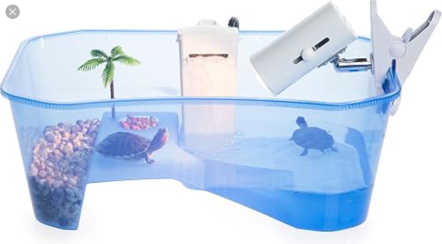total turtle tank