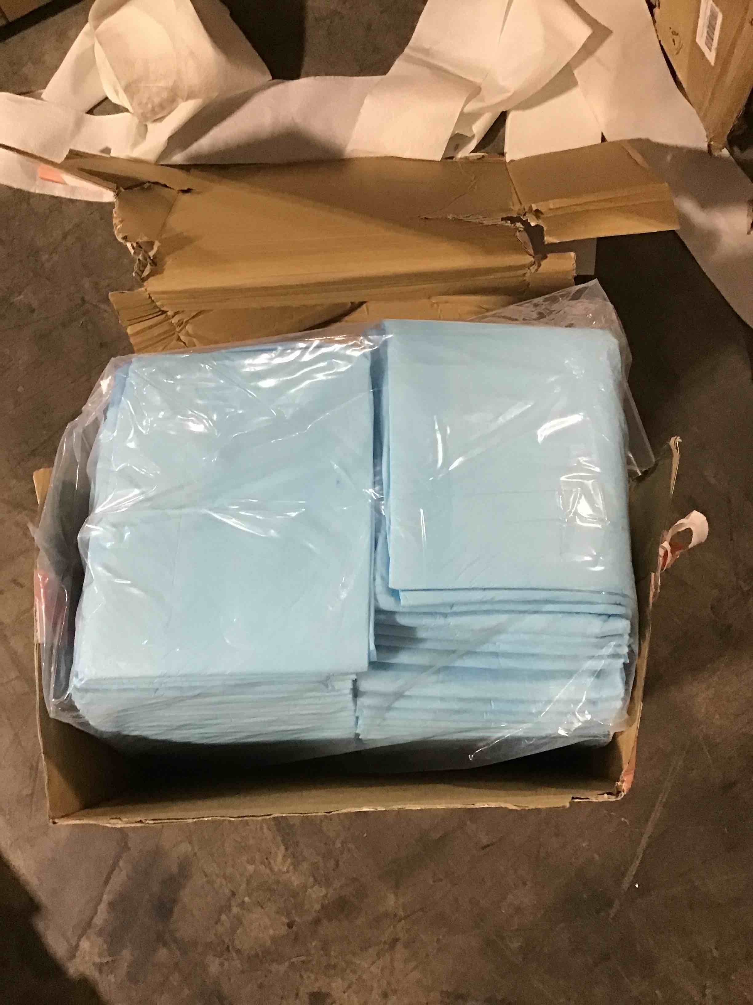 Solimo Super Absorbant Large Unscented 100 Count Puppy Pads