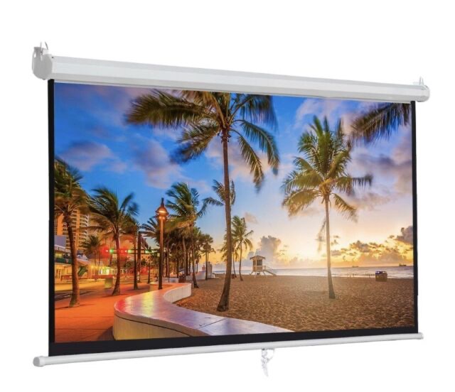 ZENY 100" Diagonal 16:9 Projection Projector Screen HD Manual Pull Down Home Theater