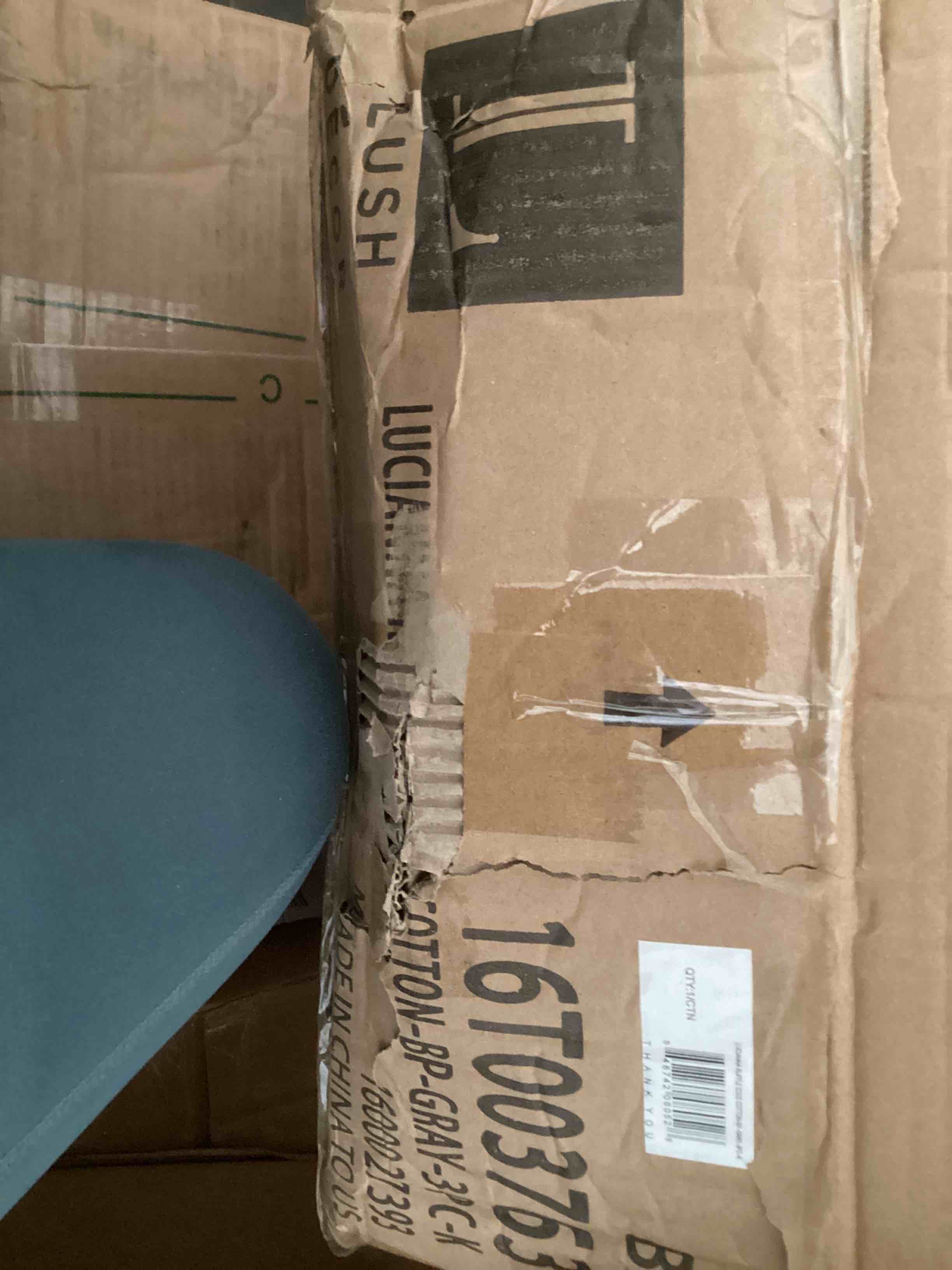 https://s3.amazonaws.com/lotting-images-prod/bidfta/GRN3963284_1700059605442.jpeg