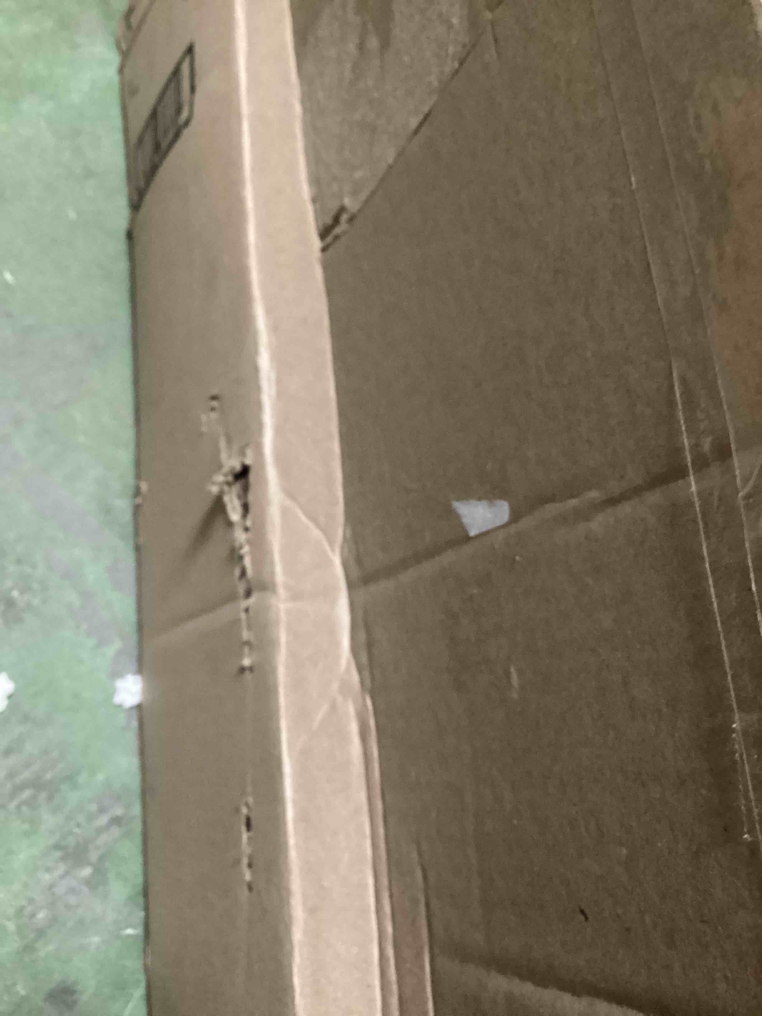 https://s3.amazonaws.com/lotting-images-prod/bidfta/GRN3965511_1696432890589.jpeg