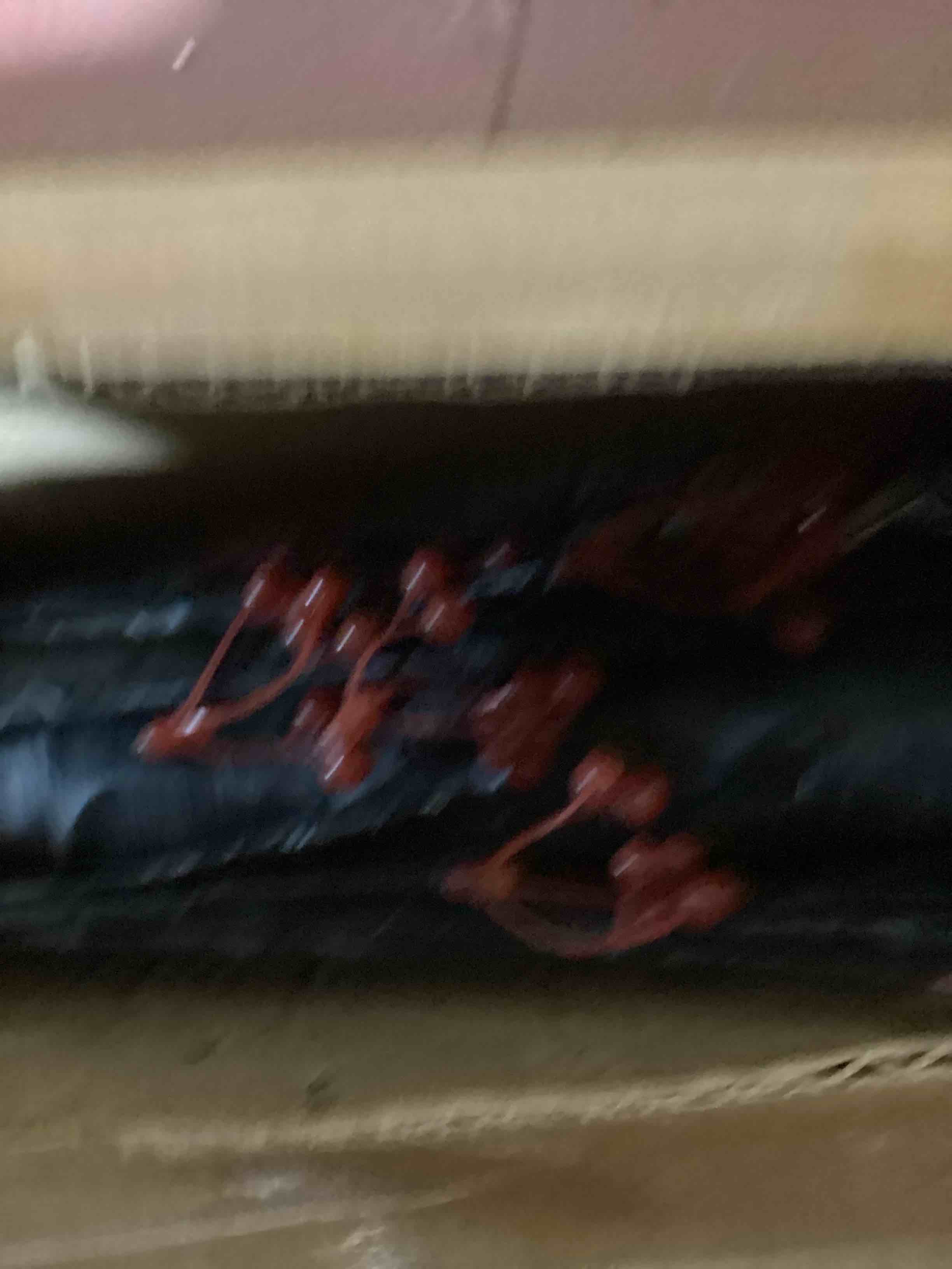 https://s3.amazonaws.com/lotting-images-prod/bidfta/GRN4079644_1708361180422.jpeg