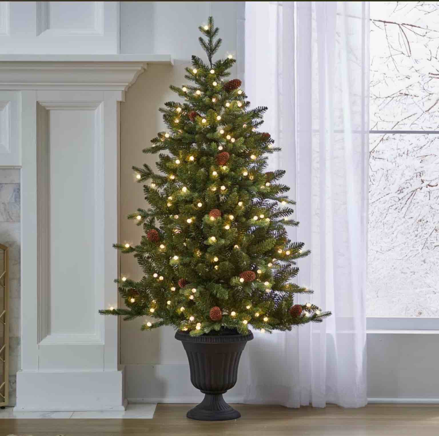 The Potted 5' Prelit Pinecone Spruc