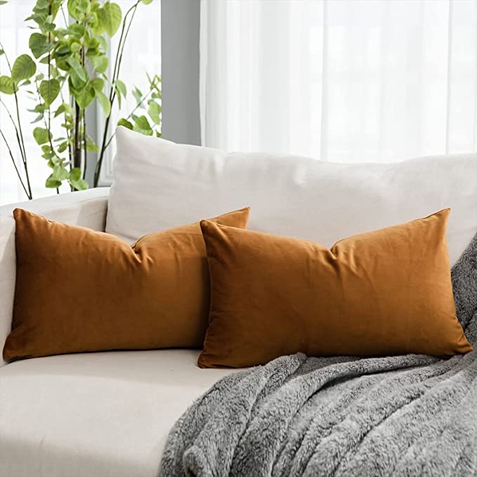 QUAFOO Burnt Orange Velvet Decorative Lumbar Throw Pillow Covers 16x24,Pack of 2 Luxury Solid Soft Cushion Case for Sofa Couch Bed