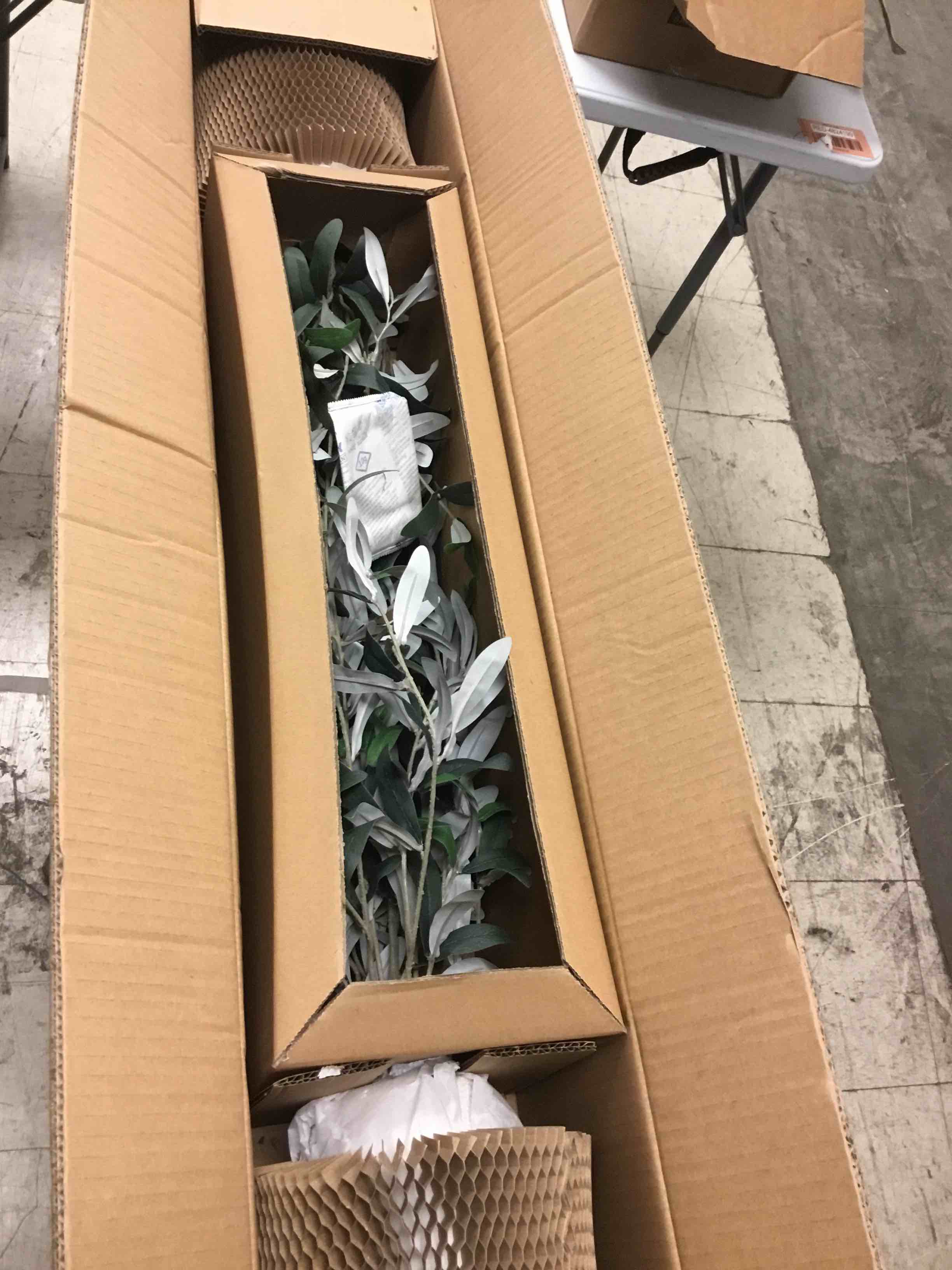 https://s3.amazonaws.com/lotting-images-prod/bidfta/GRN4520995_1696616122970.jpeg