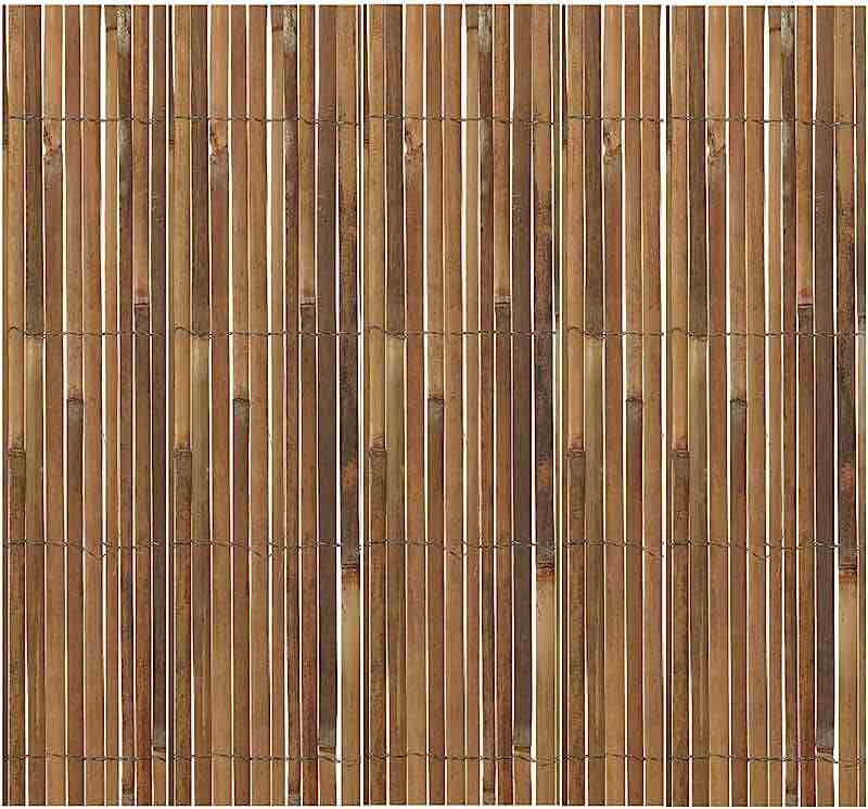 Bamboo Fence