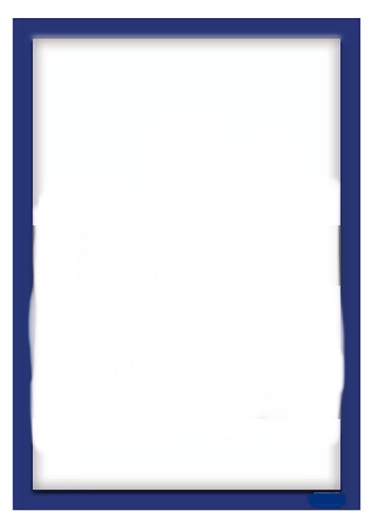 Poster Frame, 18" x 24", Blue