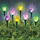 S/8 Tulip solar stake 