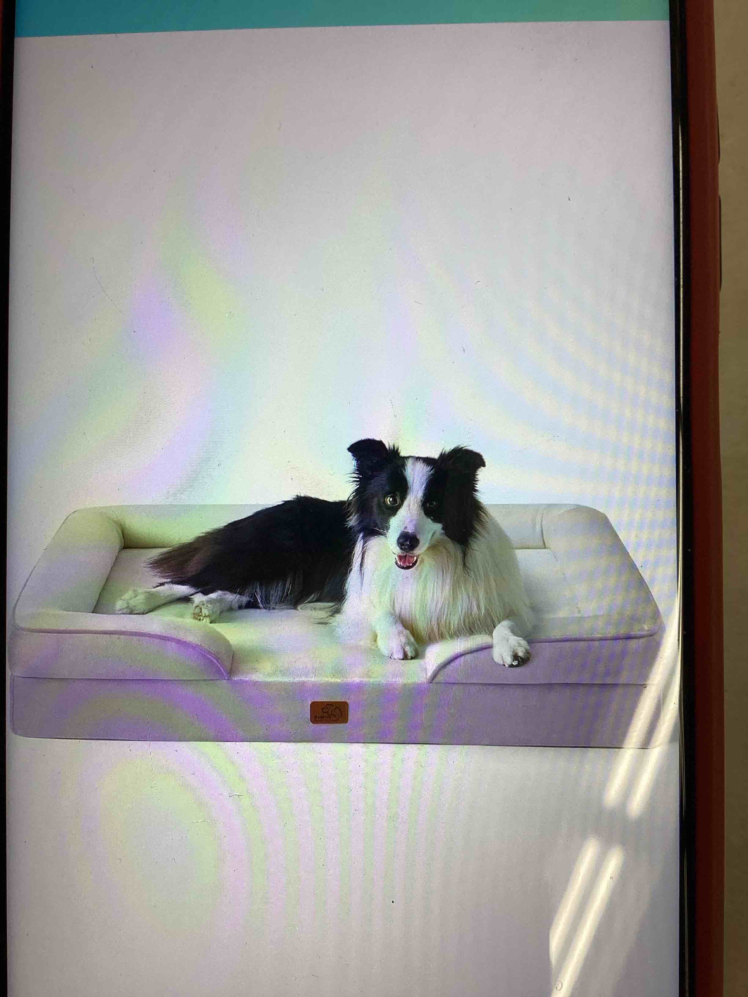 bedsure comfy pet