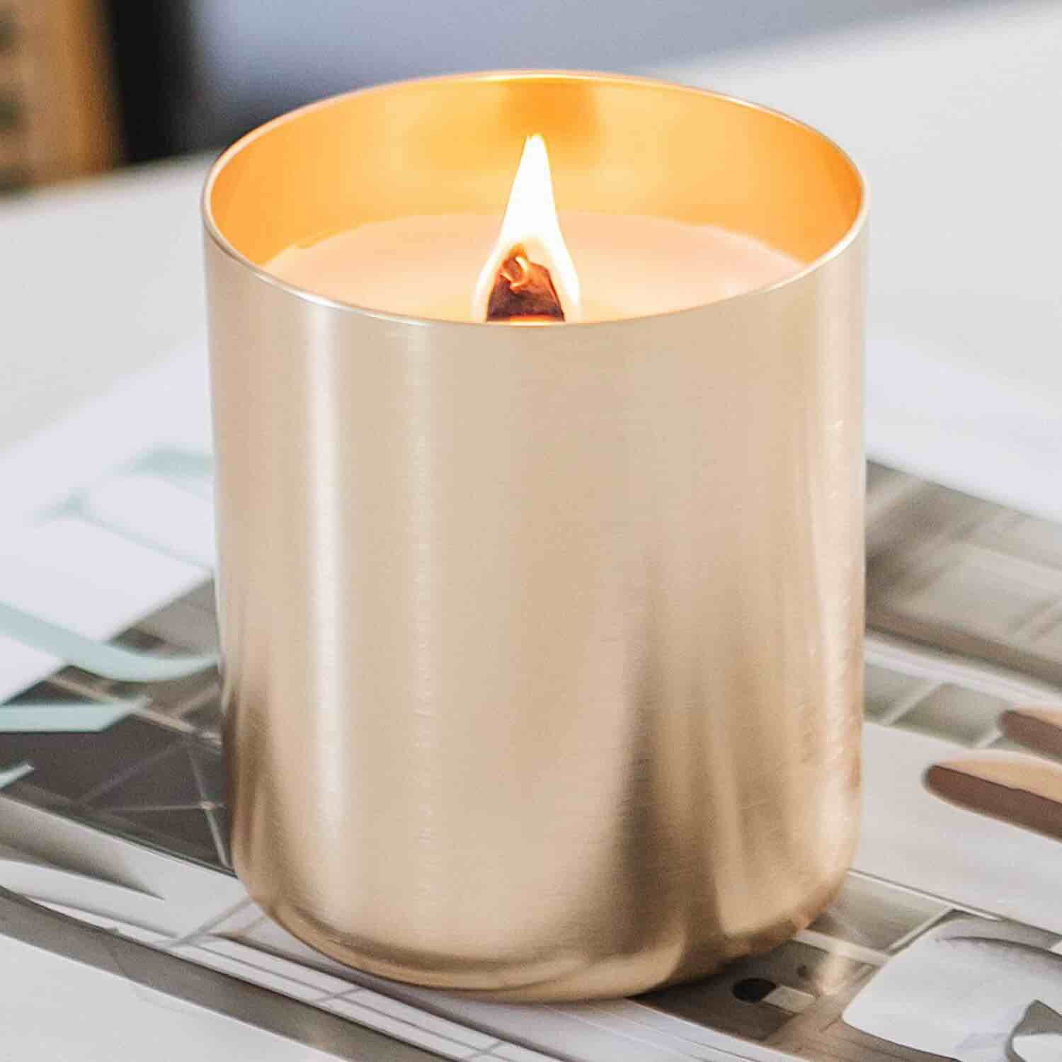 ELEMENTAL coconut + vanilla soy max candle