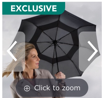 The Wind Defying Packable Umbrella