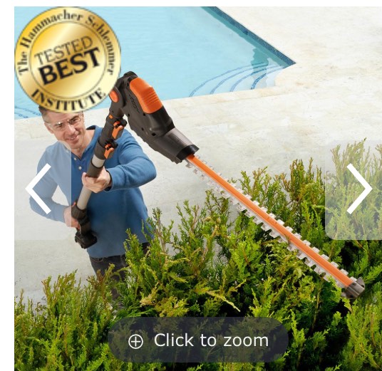 The Best Long Reach Hedge Trimmer Green