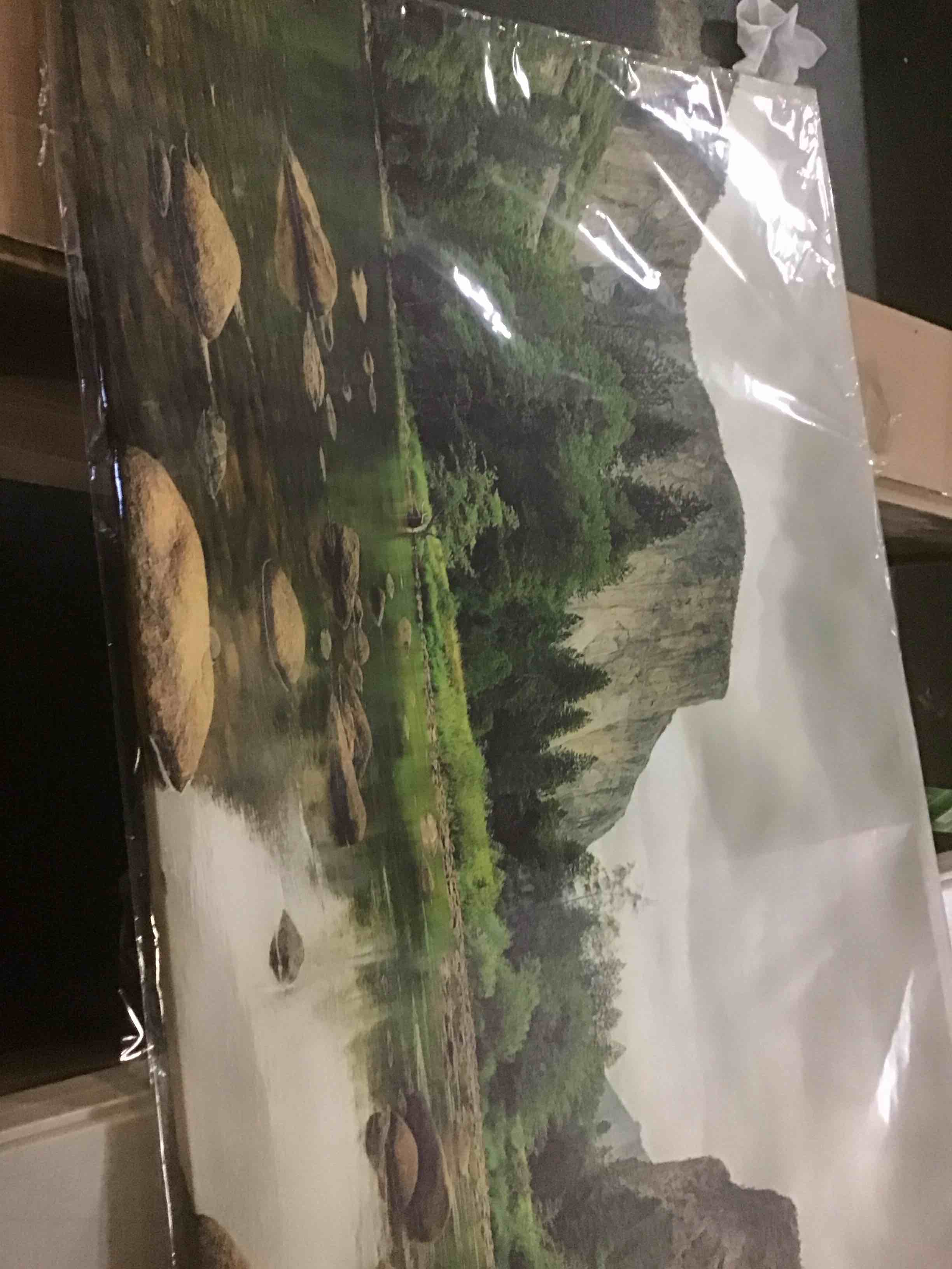 https://s3.amazonaws.com/lotting-images-prod/bidfta/GRN4949304_1703079902136.jpeg