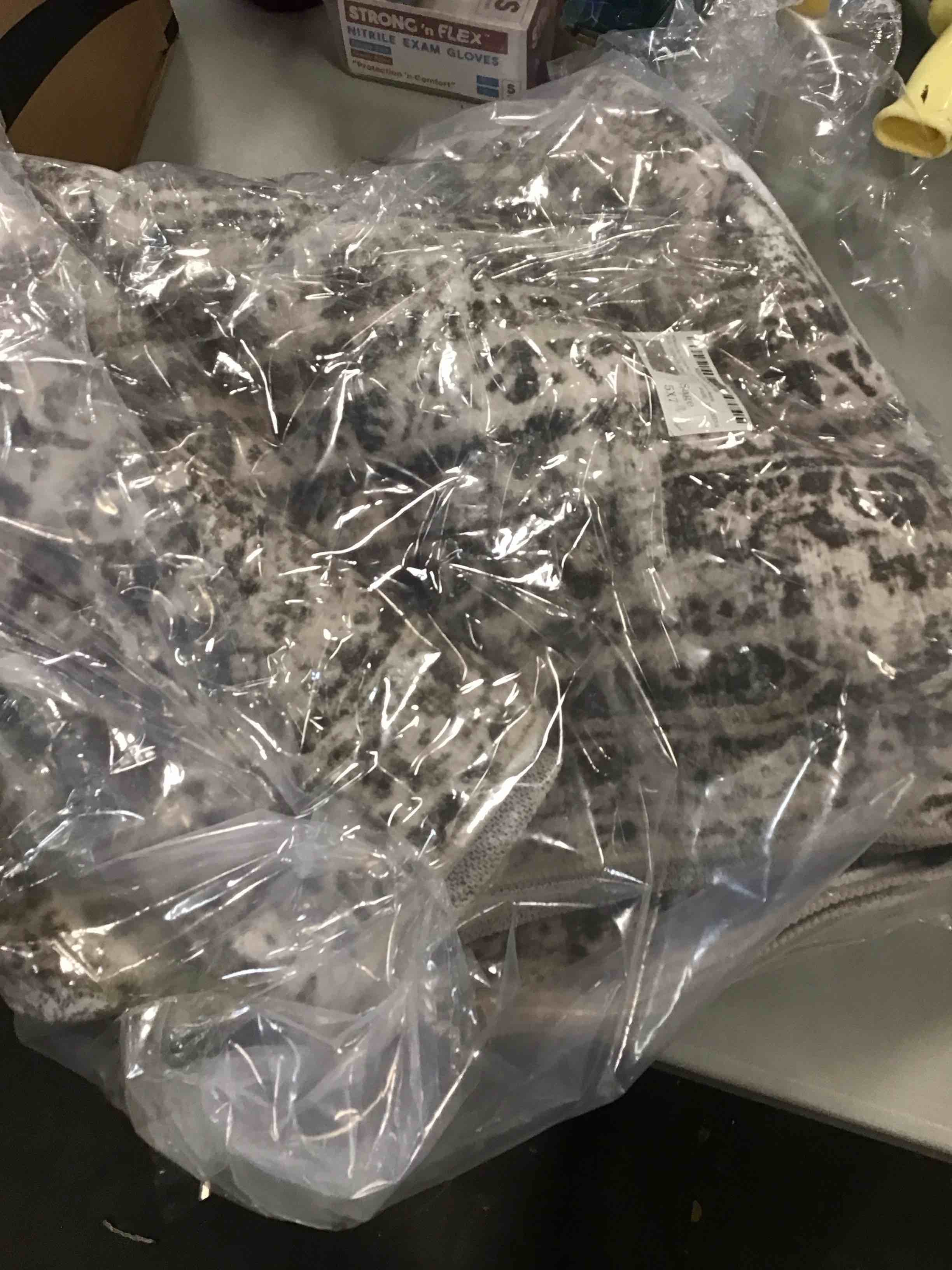 https://s3.amazonaws.com/lotting-images-prod/bidfta/GRN4950429_1703695789244.jpeg
