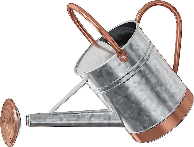 8pints 1 Gallon Watering Can for Outdoor Plants - Metal Watering Can for Outdoor Plants House Plant Watering Can with Sprinkle Head Perfect Watering Can Indoor Plants for Outdoor and Indoor Gardening