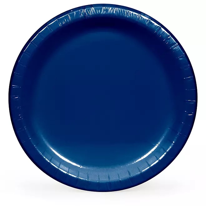 Artstyle Dinner Paper Plates, 10", 85 ct.