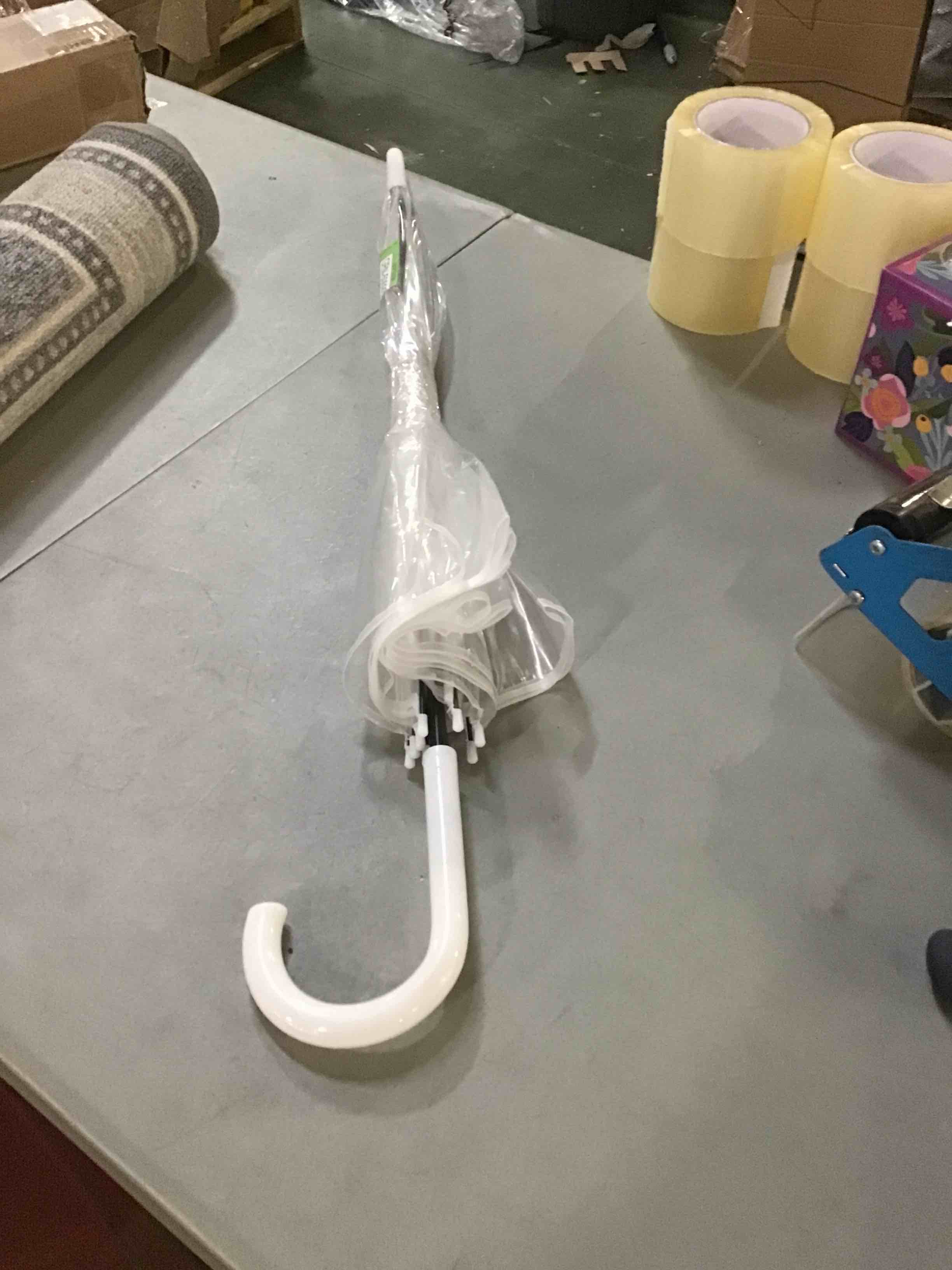 Clear Umbrella 