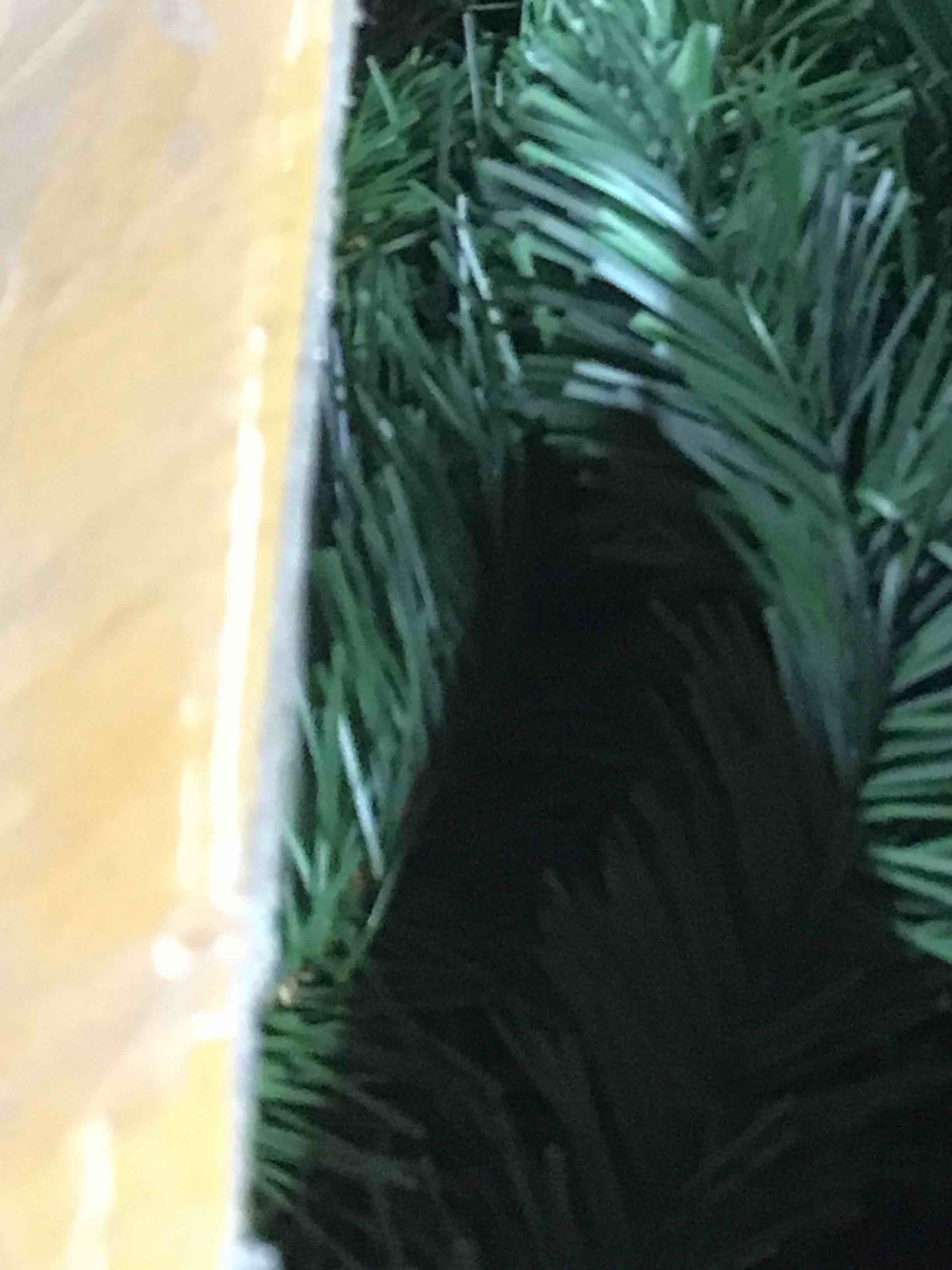 https://s3.amazonaws.com/lotting-images-prod/bidfta/GRN5102999_1711044889025.jpeg