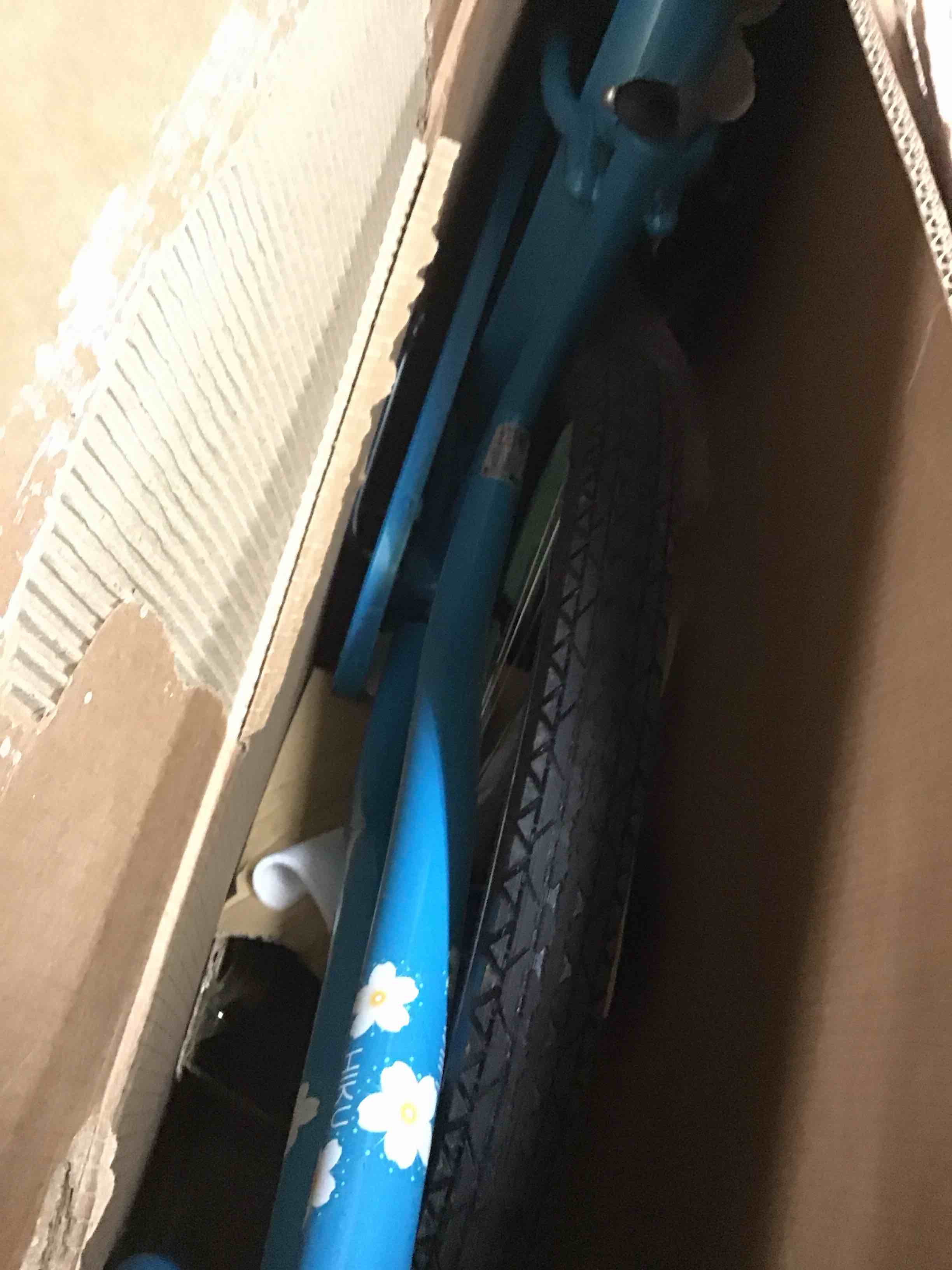 https://s3.amazonaws.com/lotting-images-prod/bidfta/GRN5103019_1711053617790.jpeg