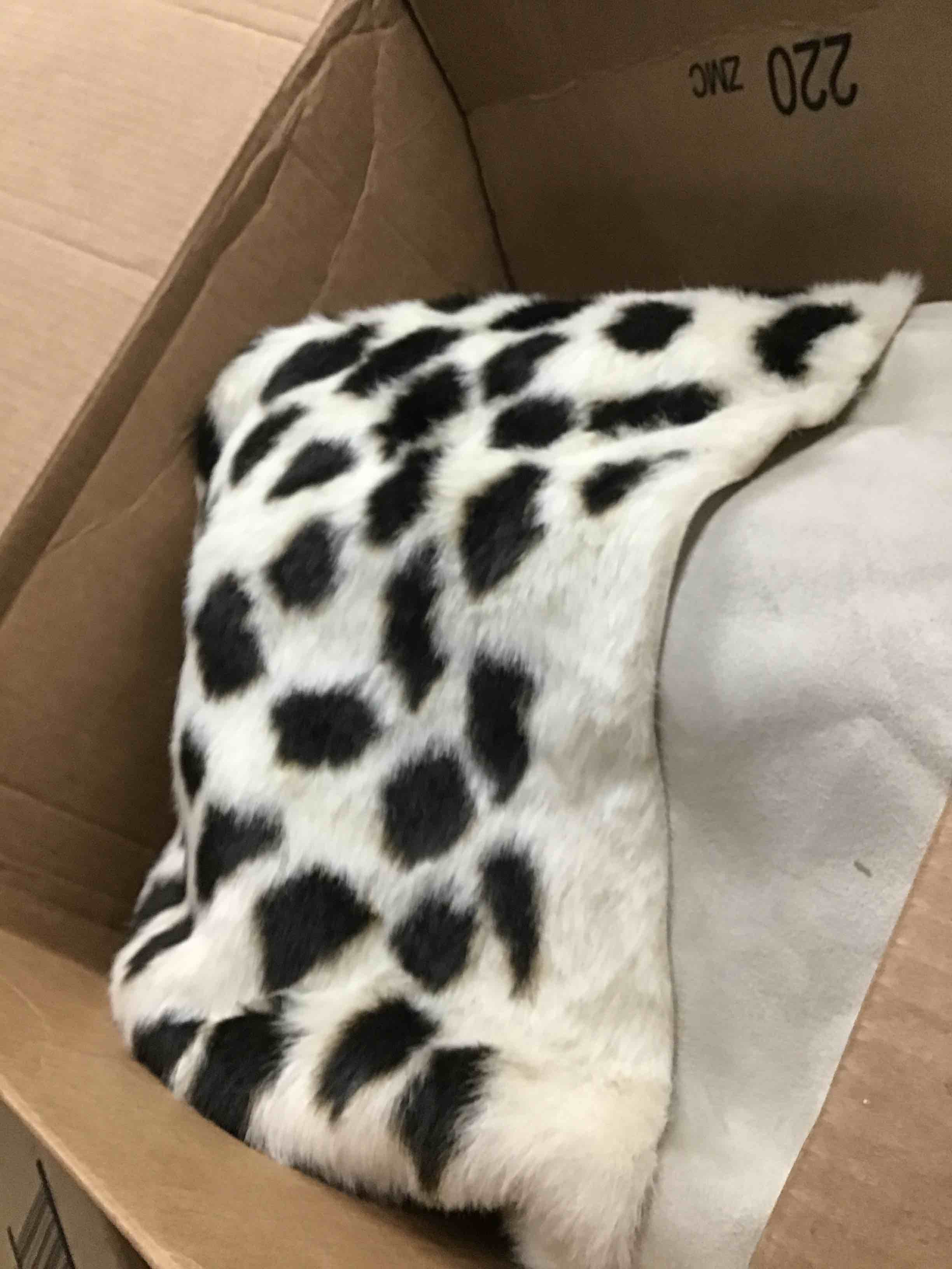 https://s3.amazonaws.com/lotting-images-prod/bidfta/GRN5105939_1709063984354.jpeg