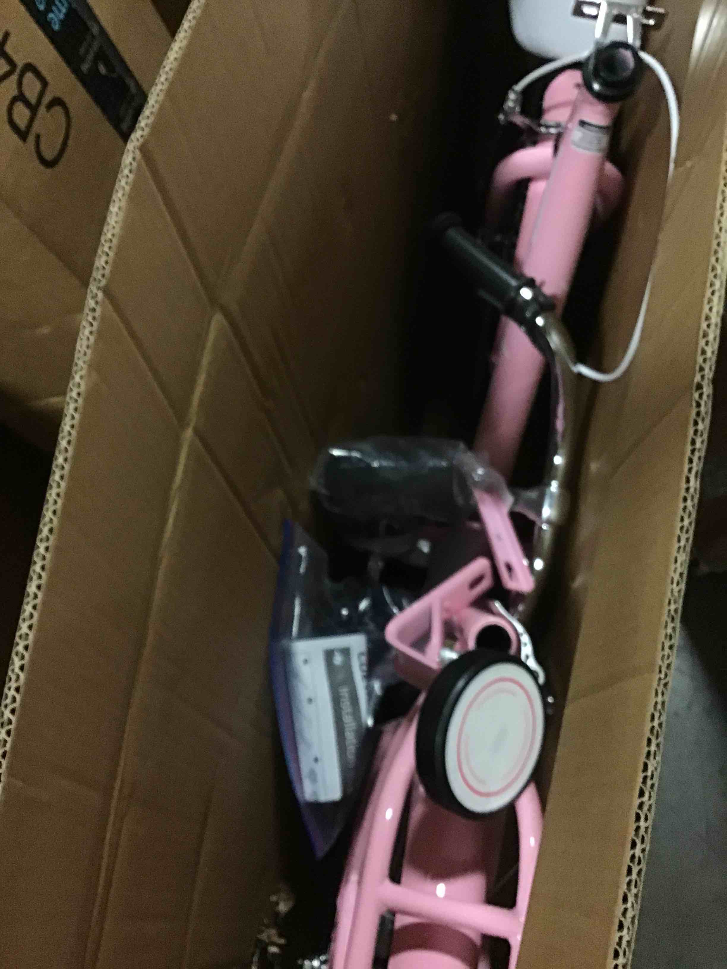 https://s3.amazonaws.com/lotting-images-prod/bidfta/GRN5116771_1703880525067.jpeg
