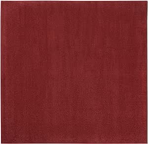 Nourison Essentials Indoor/Outdoor Brick Red 5' x 7' Area Rug, Easy Cleaning, Non Shedding, Bed Room, Living Room, Dining Room, Backyard, Deck, Patio (5x7)