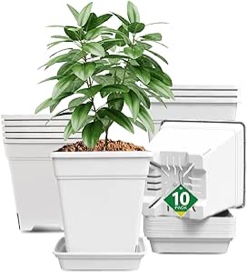 REDMOL Plant Pots 9 Inch Set of 10 Pack Root Pruning Planters with Drainage Hole Large Outdoor Garden Plastic Flower Pots with Saucer Nursery Planting Pot for All Indoor House Plants (Grey)