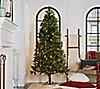 7' Prelit Natural Touch Spruce Christmas Tree by Valerie