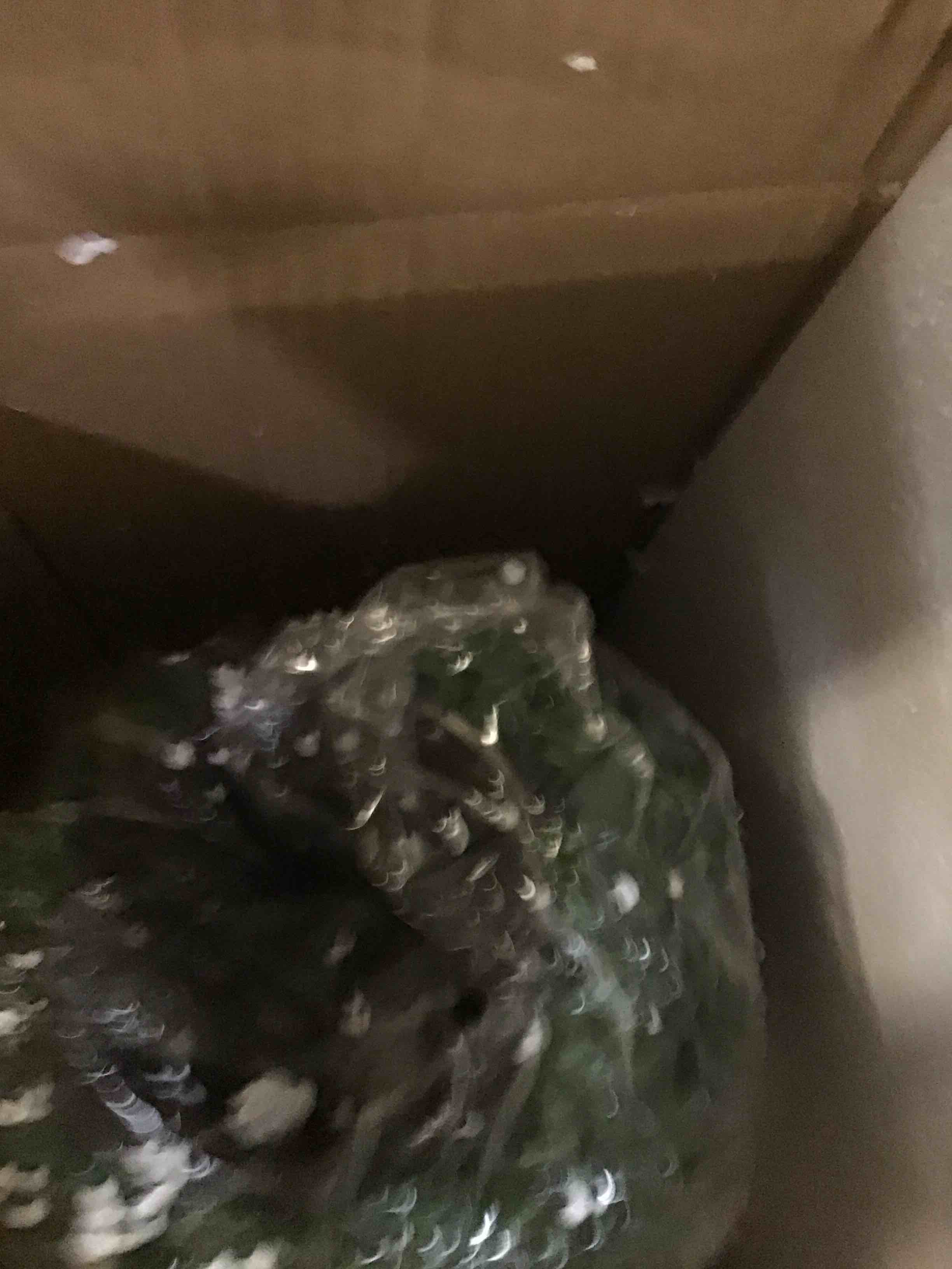 https://s3.amazonaws.com/lotting-images-prod/bidfta/GRN5247855_1692042626147.jpeg