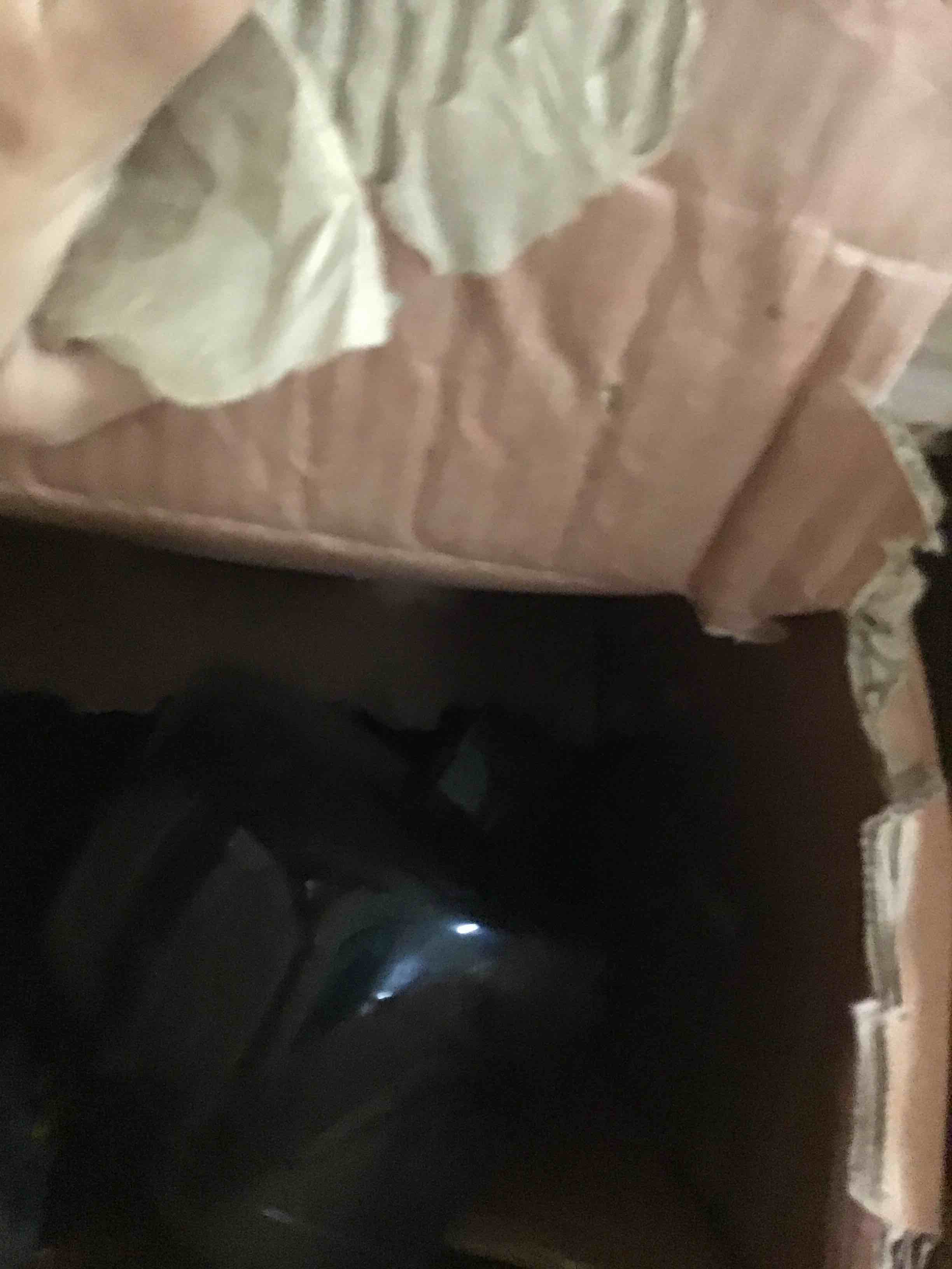 https://s3.amazonaws.com/lotting-images-prod/bidfta/GRN5248092_1692205894800.jpeg