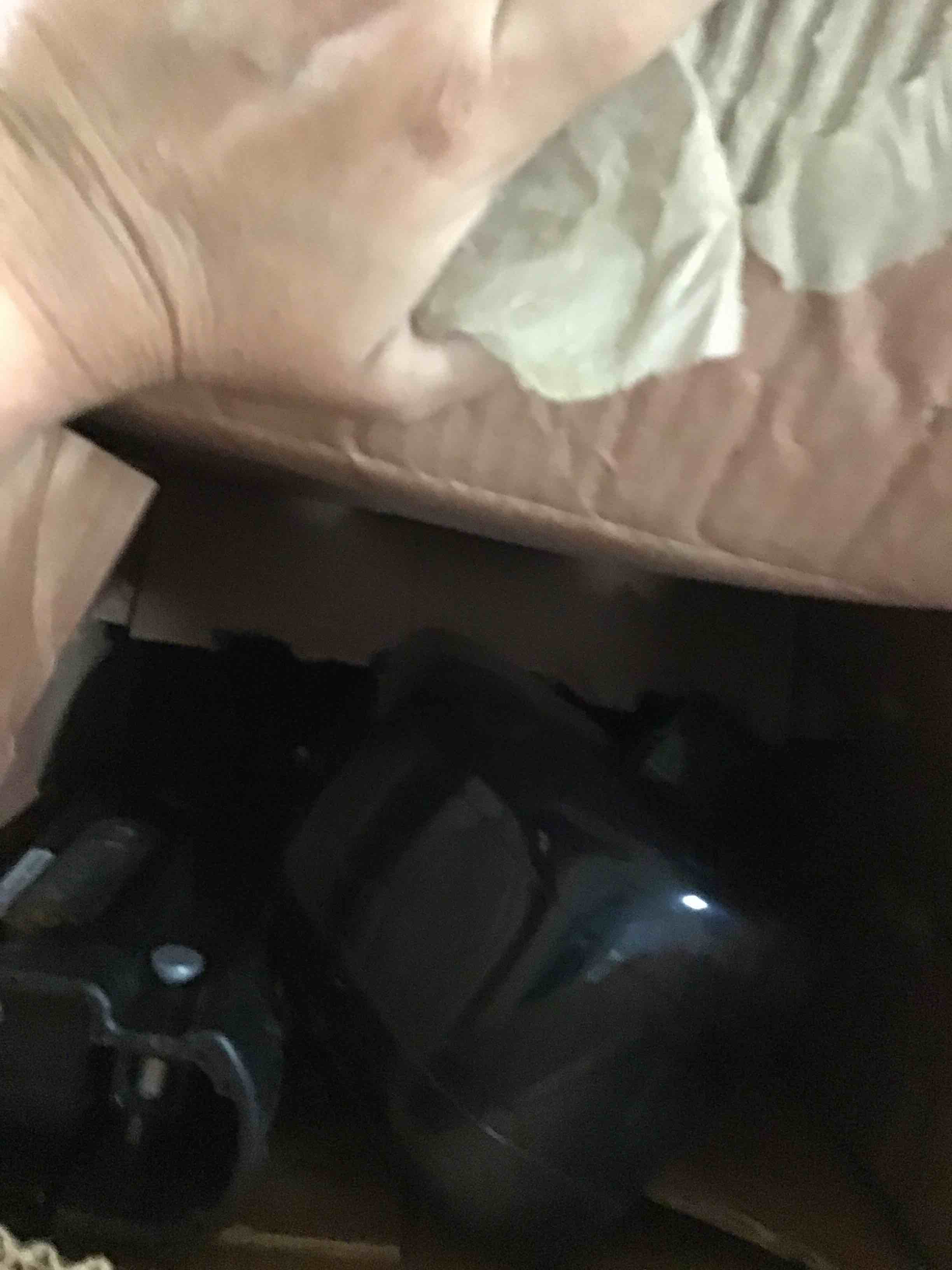 https://s3.amazonaws.com/lotting-images-prod/bidfta/GRN5248092_1692205897037.jpeg