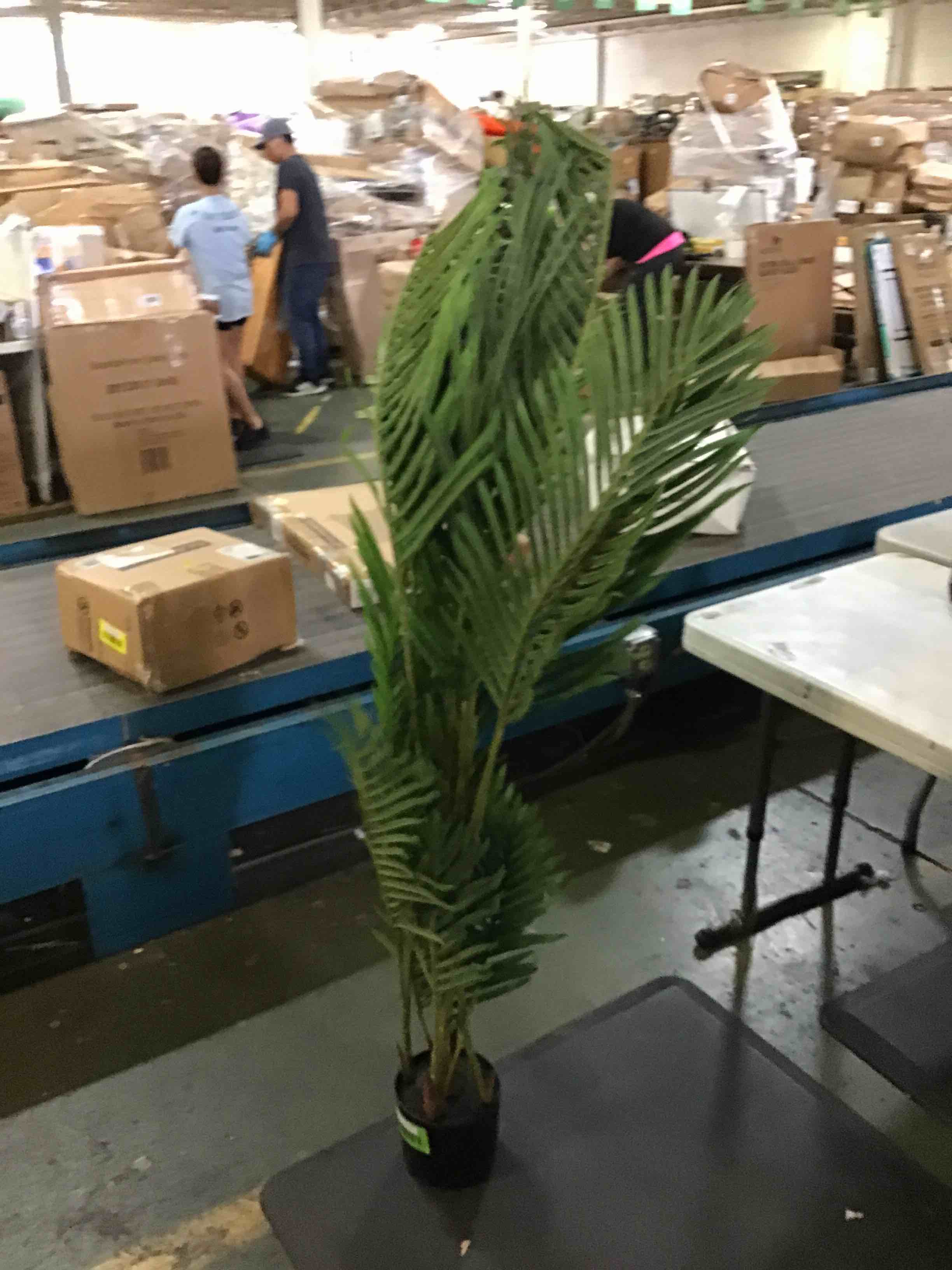 https://s3.amazonaws.com/lotting-images-prod/bidfta/GRN5248093_1692206095690.jpeg