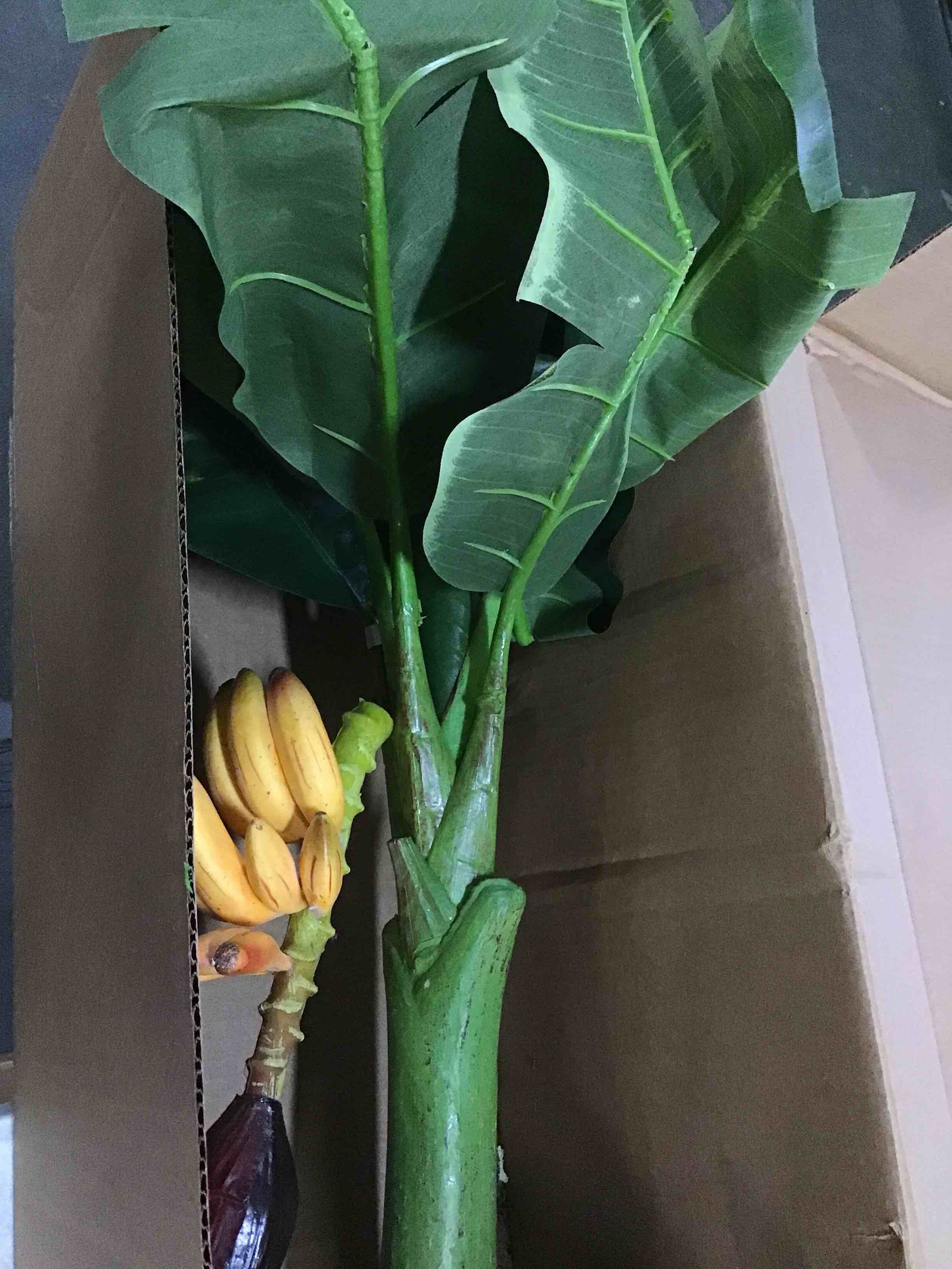 https://s3.amazonaws.com/lotting-images-prod/bidfta/GRN5272319_1691414485697.jpeg