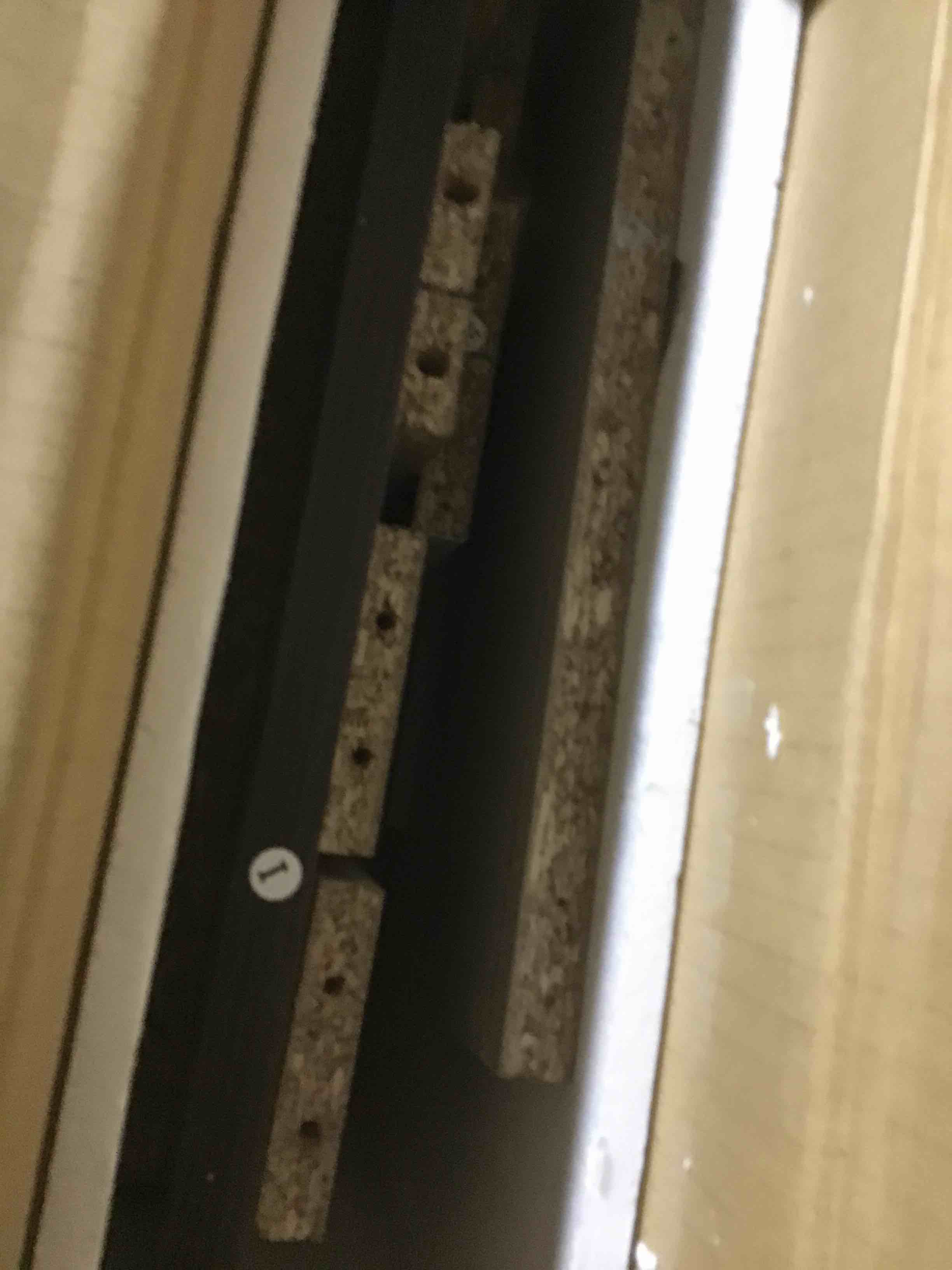 https://s3.amazonaws.com/lotting-images-prod/bidfta/GRN5315207_1710442491698.jpeg
