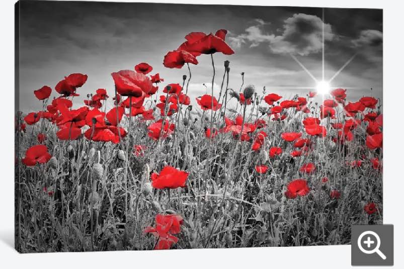 Idyllic Field Of Poppies With Sun by Melanie Viola - Graphic Art Print