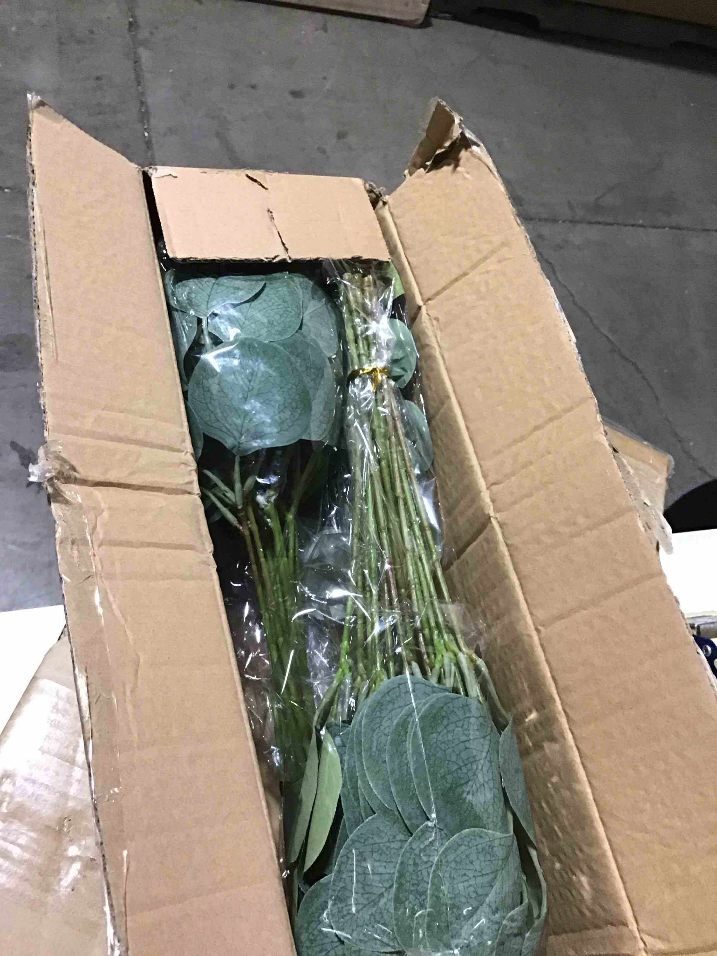 https://s3.amazonaws.com/lotting-images-prod/bidfta/GRN5323577_1710421284700.jpeg