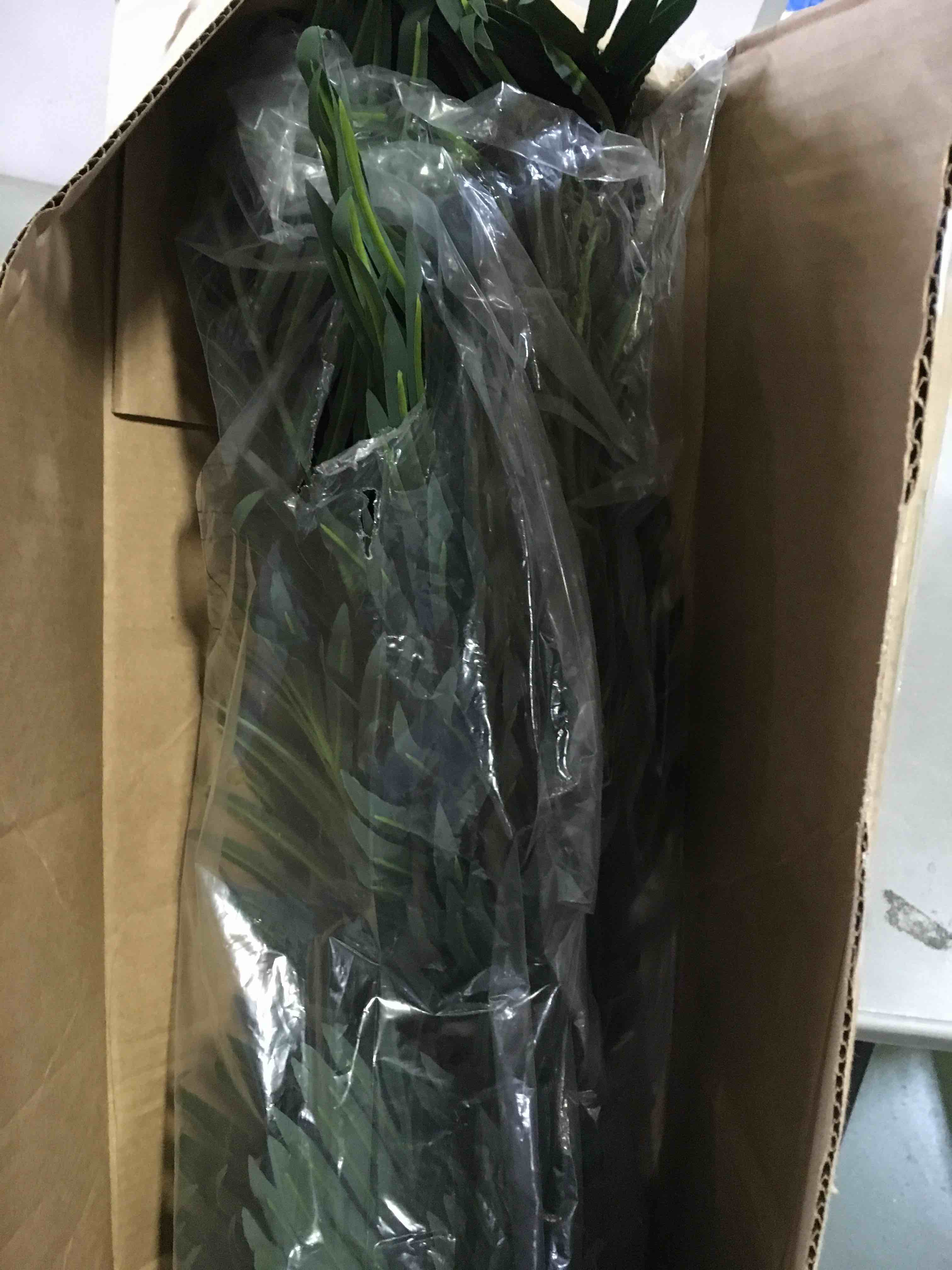 https://s3.amazonaws.com/lotting-images-prod/bidfta/GRN5350252_1692971002457.jpeg